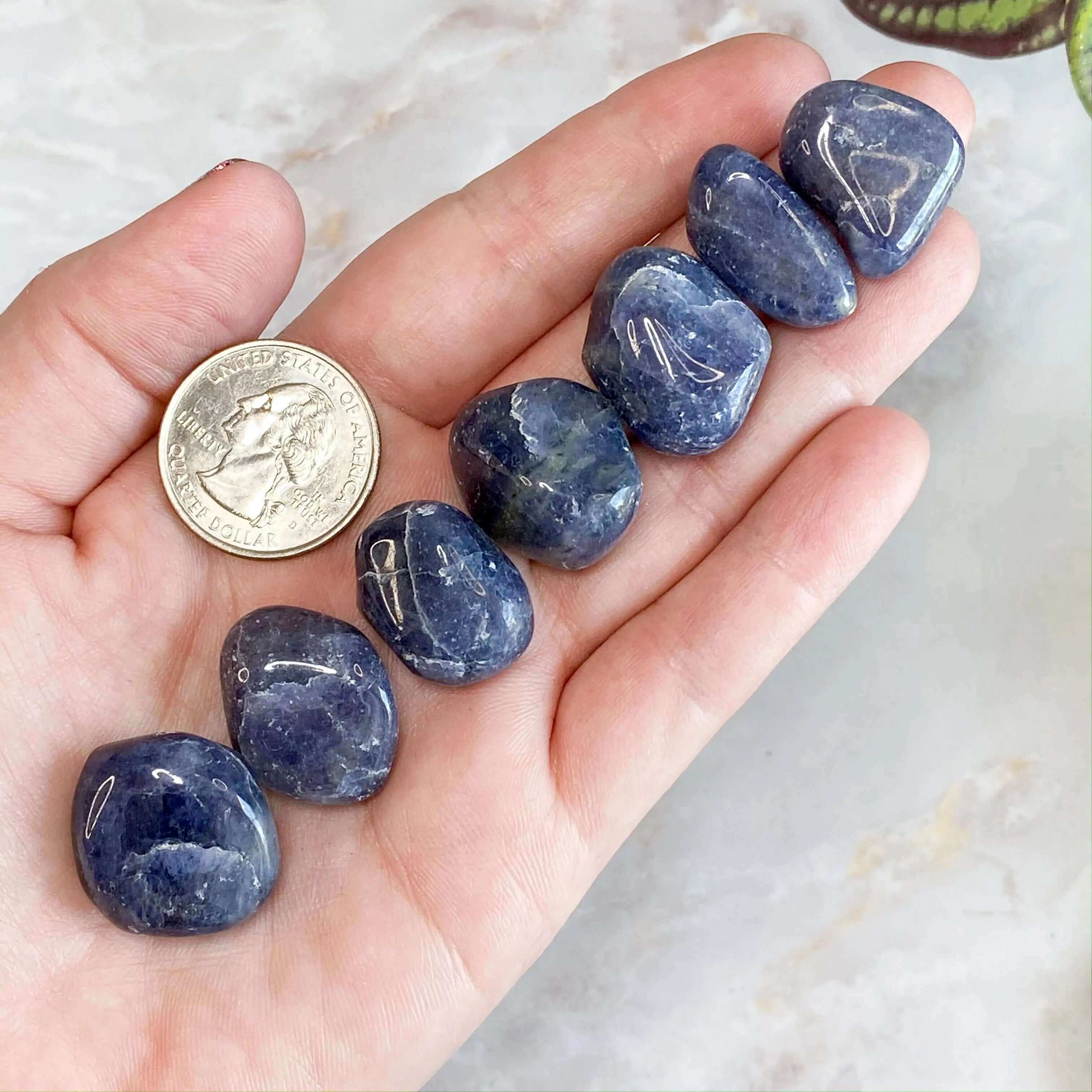 Iolite Tumbles for Vision and Truth | Set of 2 Mooncat Crystals