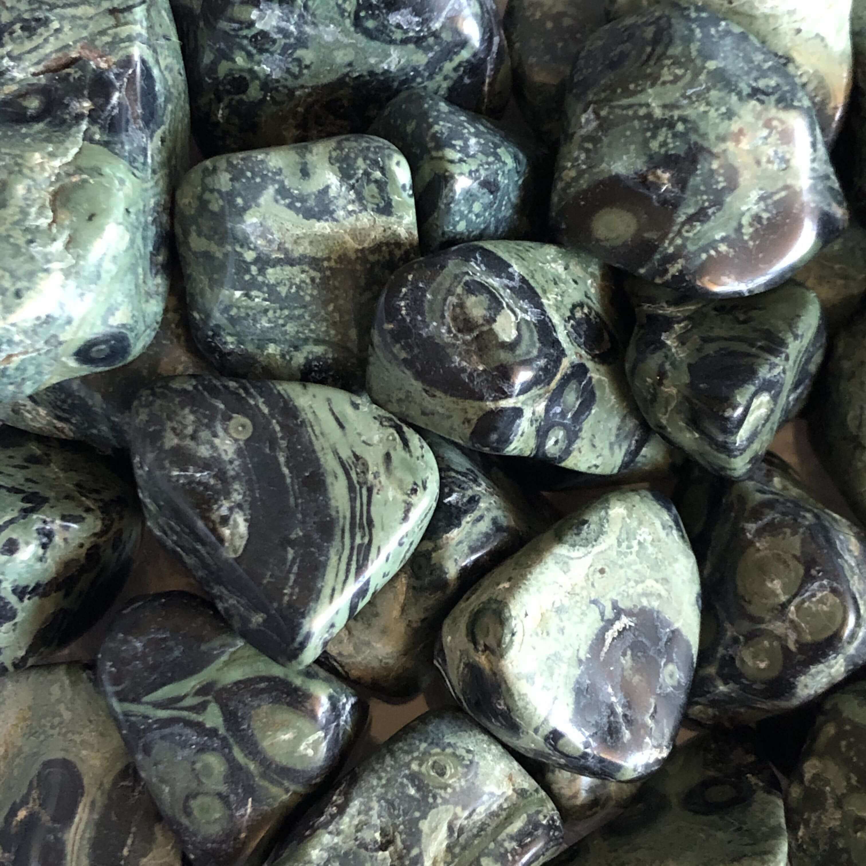 Kambaba Jasper Tumbles for Calming and Renewal | Set of 2 Mooncat Crystals