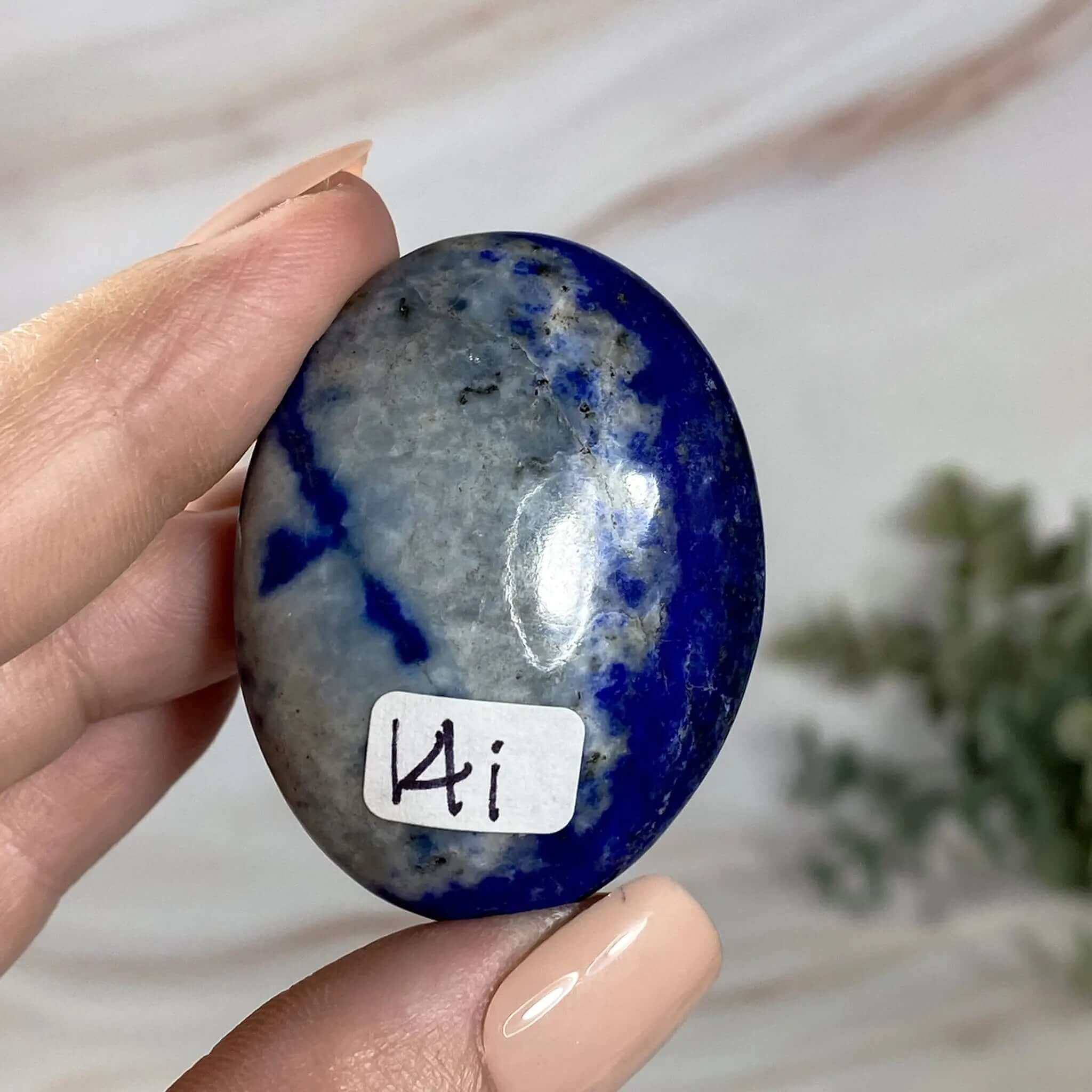 Lapis Lazuli Palm Stone  | Stock I Mooncat Crystals