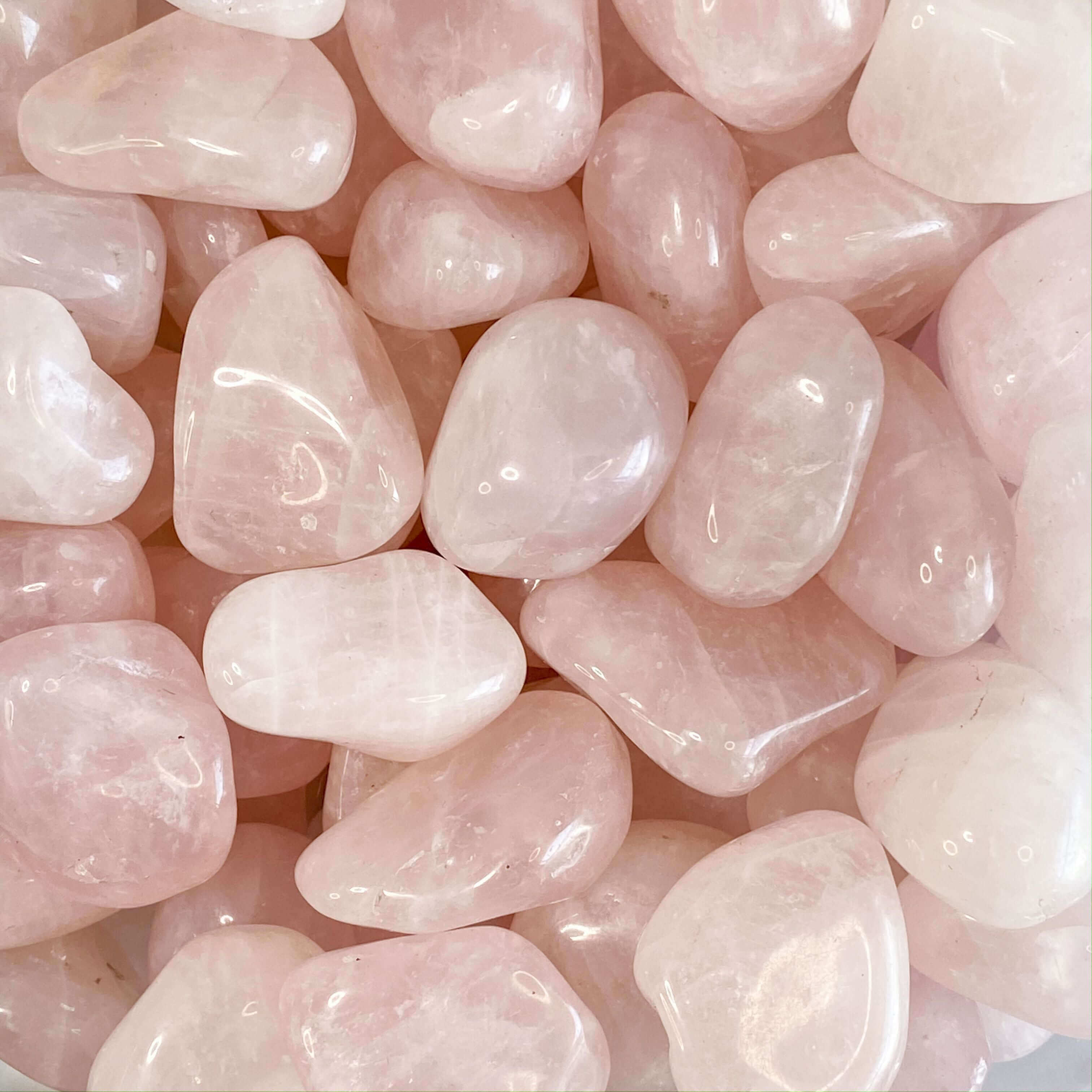 Large Rose Quartz Tumbles for Unconditional Love | Set of 2 Mooncat Crystals