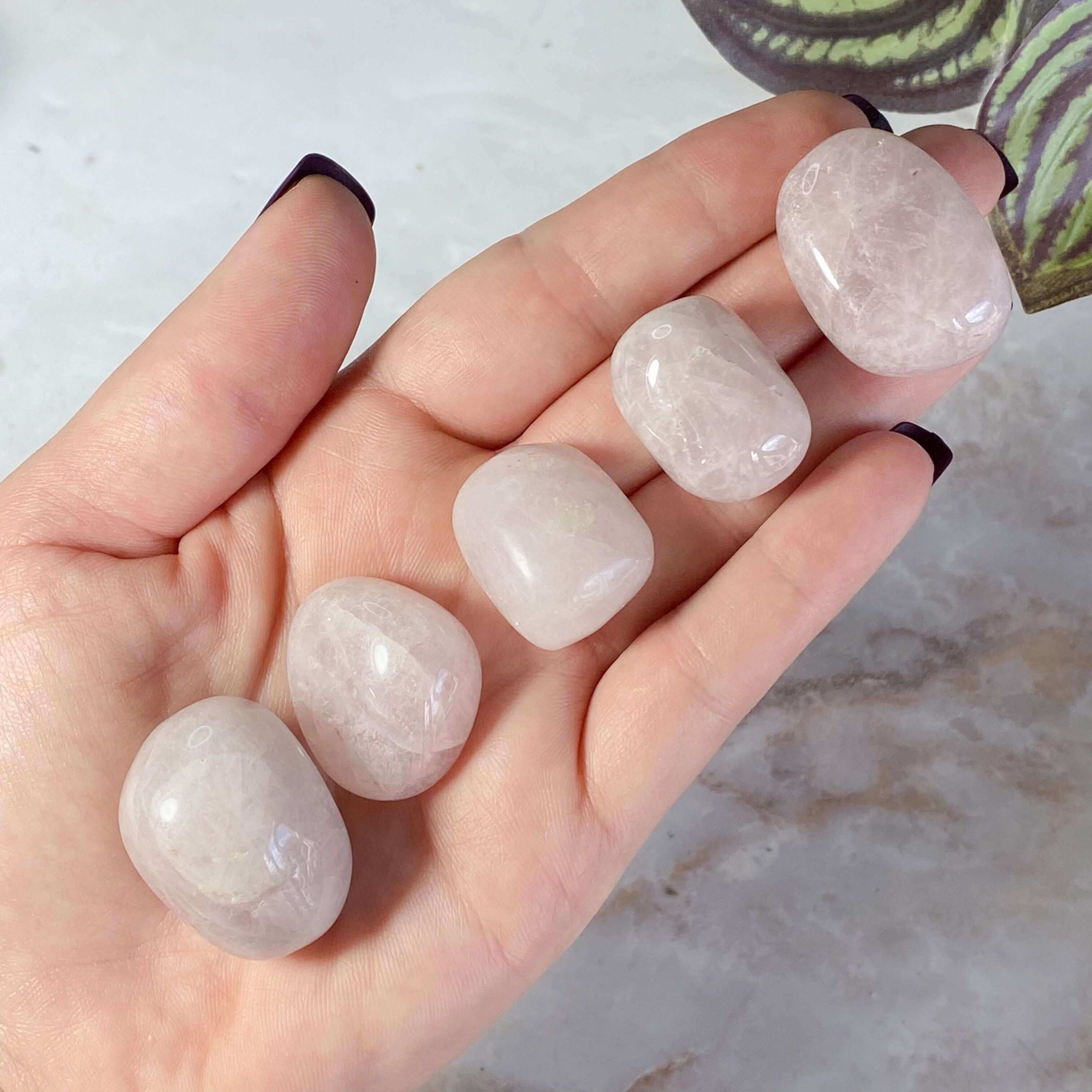 Lavender Quartz | Set of 2 Mooncat Crystals