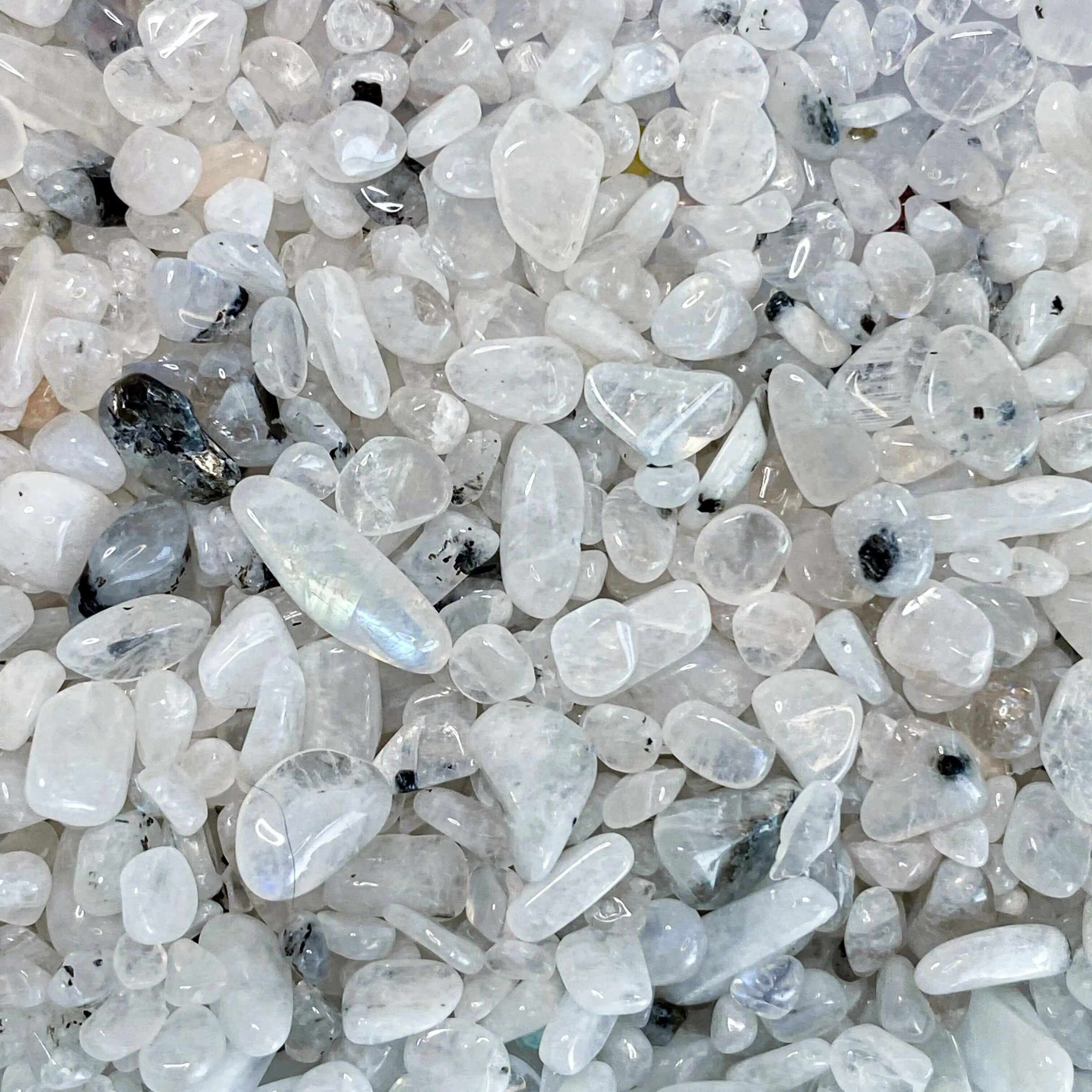 Mini Rainbow Moonstone Tumbles | 100g Lot Mooncat Crystals