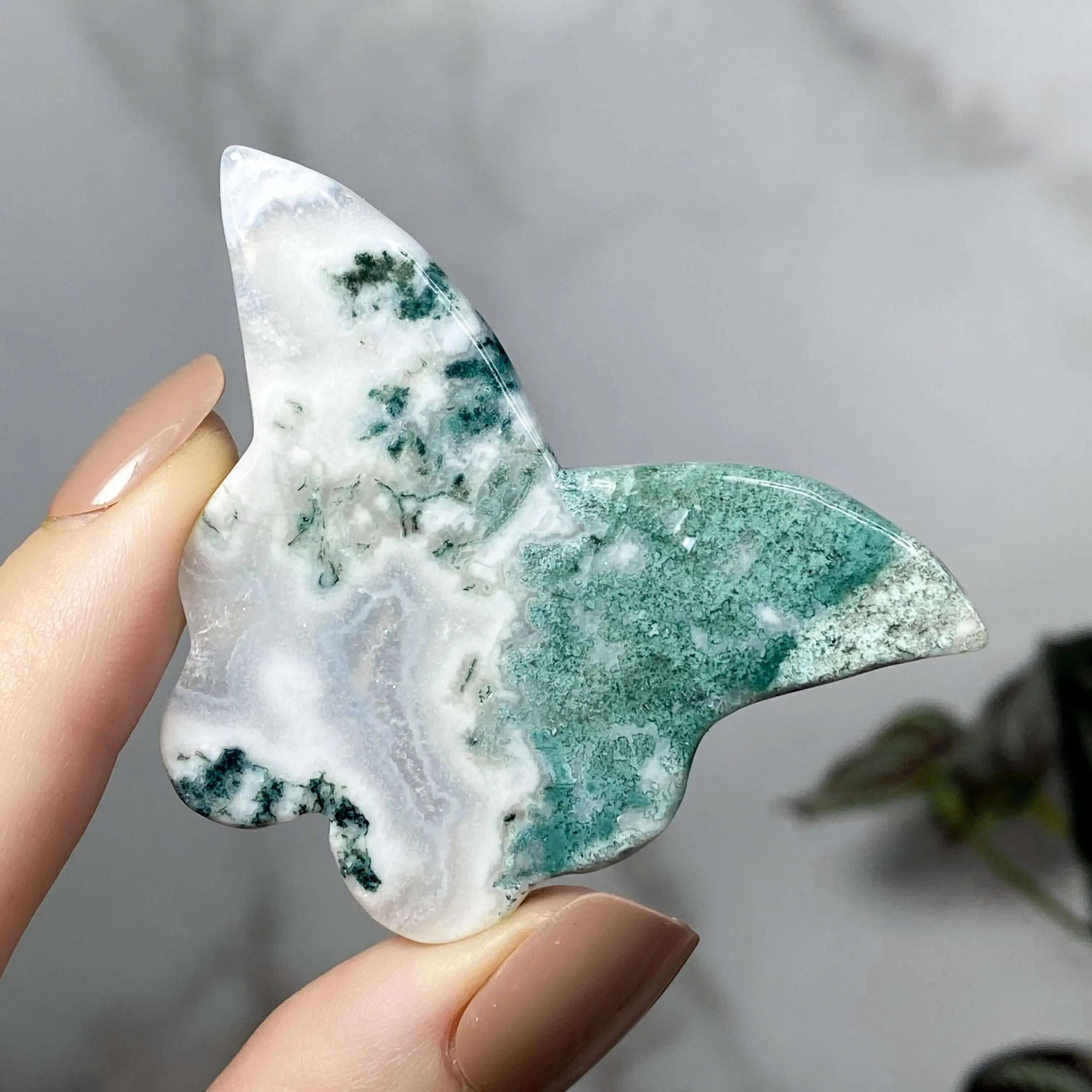 Moss Agate Butterfly Mooncat Crystals