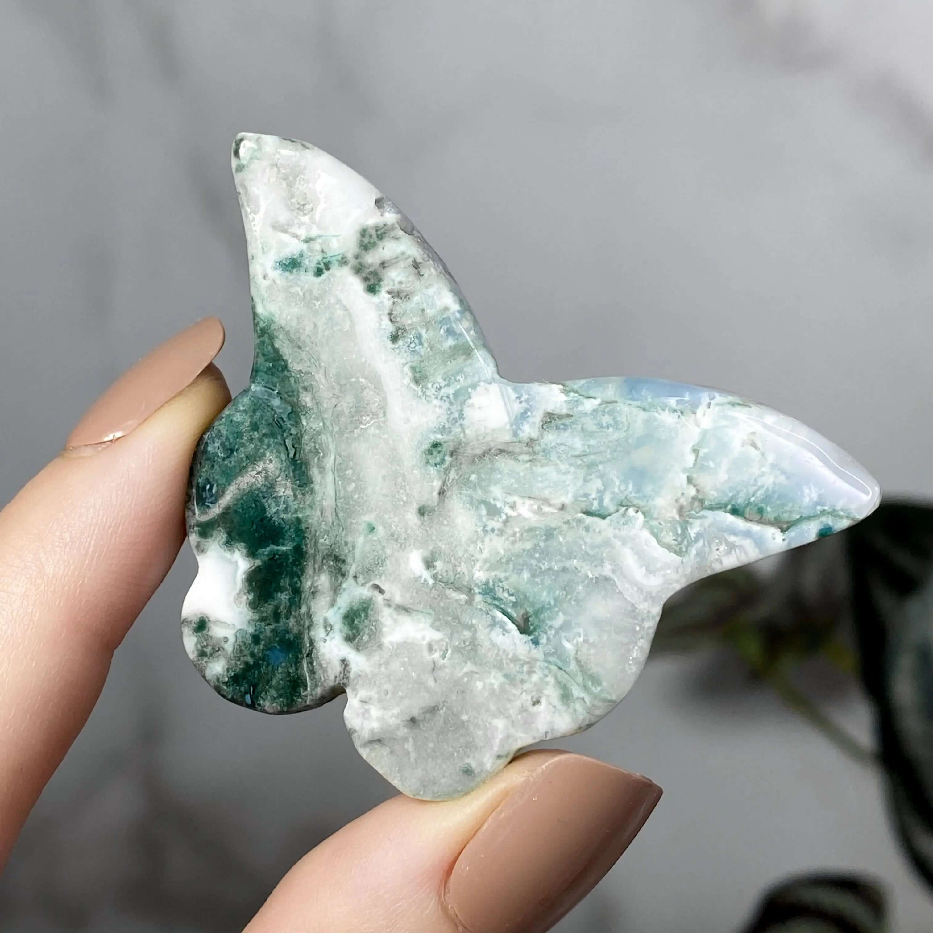 Moss Agate Butterfly Mooncat Crystals