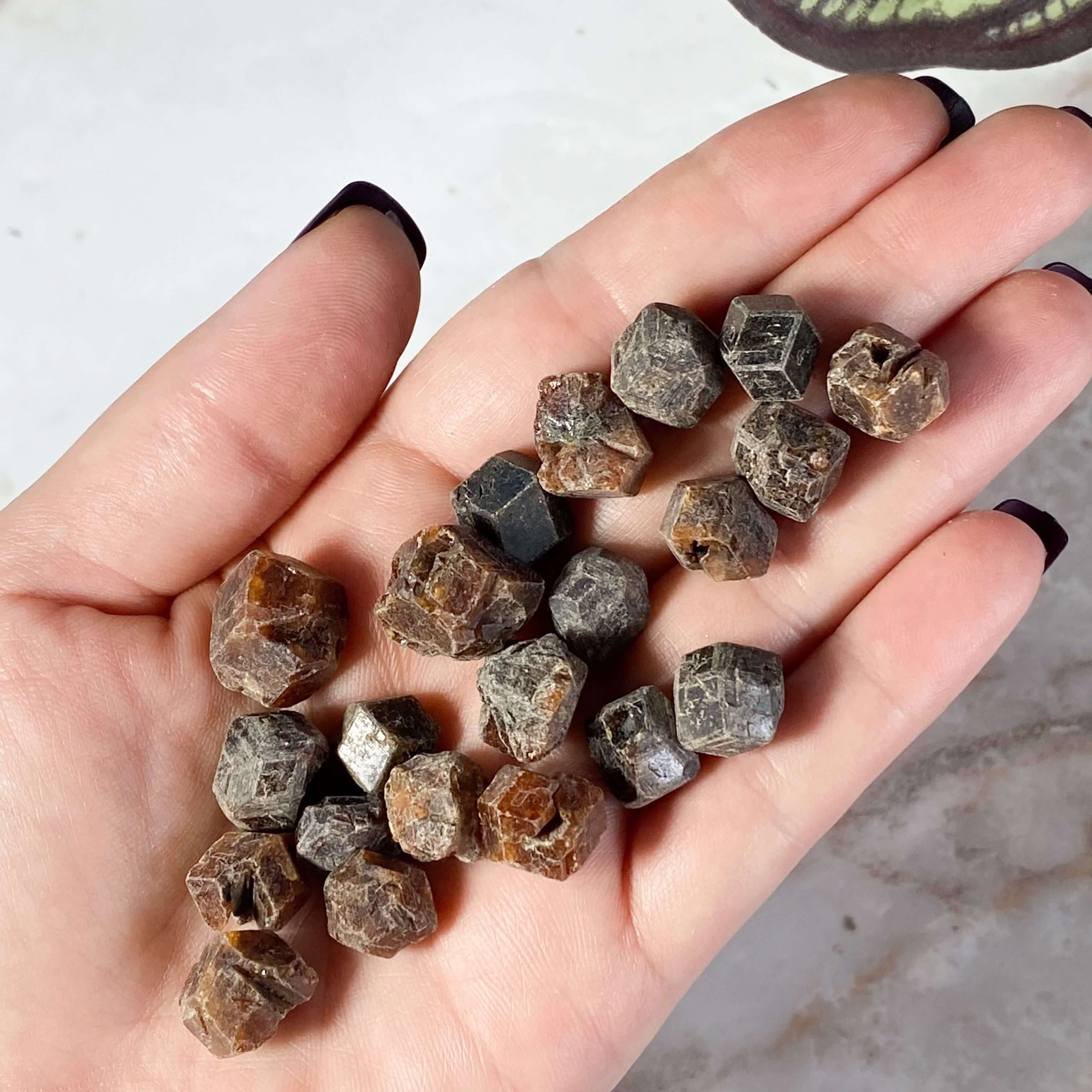 Natural Garnet Tumbles | Lot of 5 Mooncat Crystals
