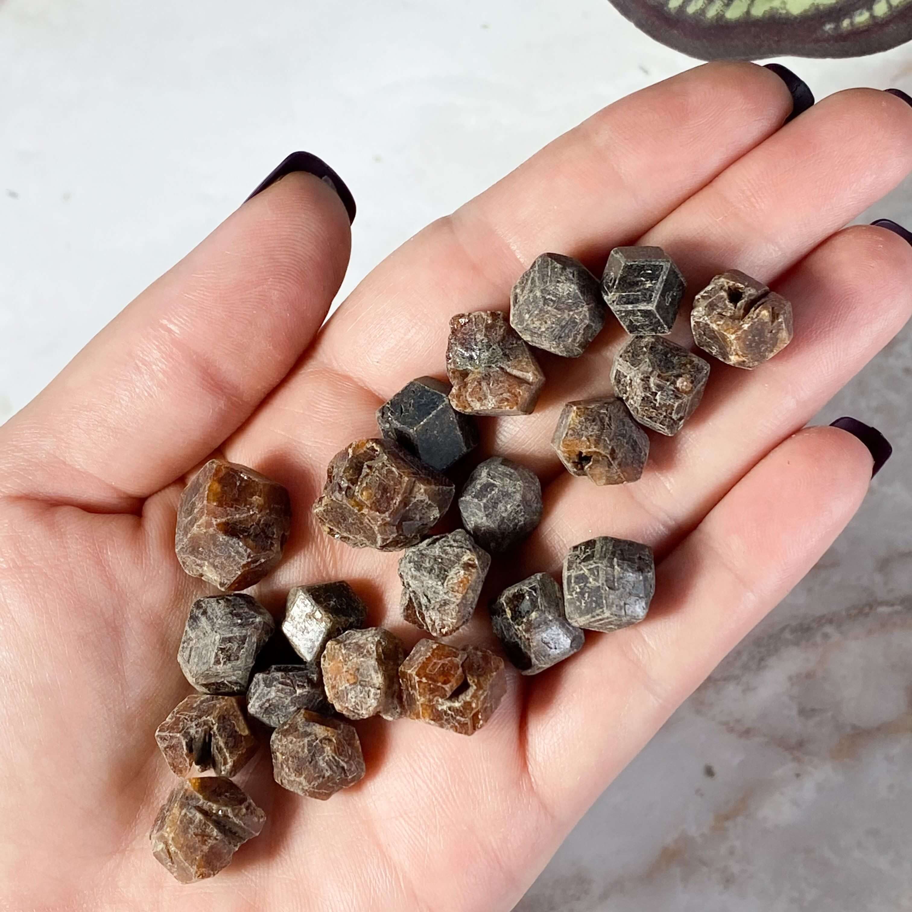 Natural Garnet Tumbles for Passion and Vitality | Lot of 5 Mooncat Crystals