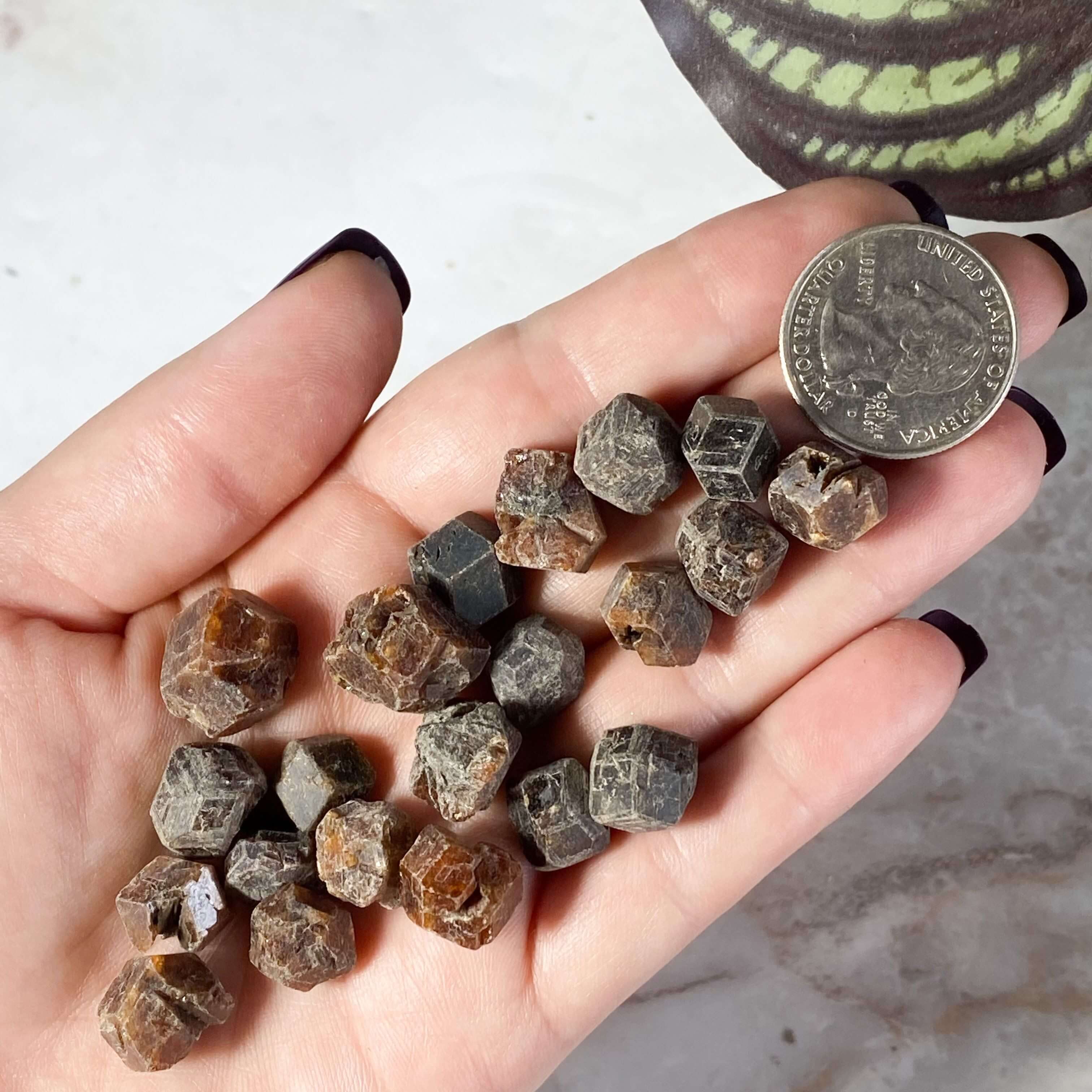 Natural Garnet Tumbles for Passion and Vitality | Lot of 5 Mooncat Crystals