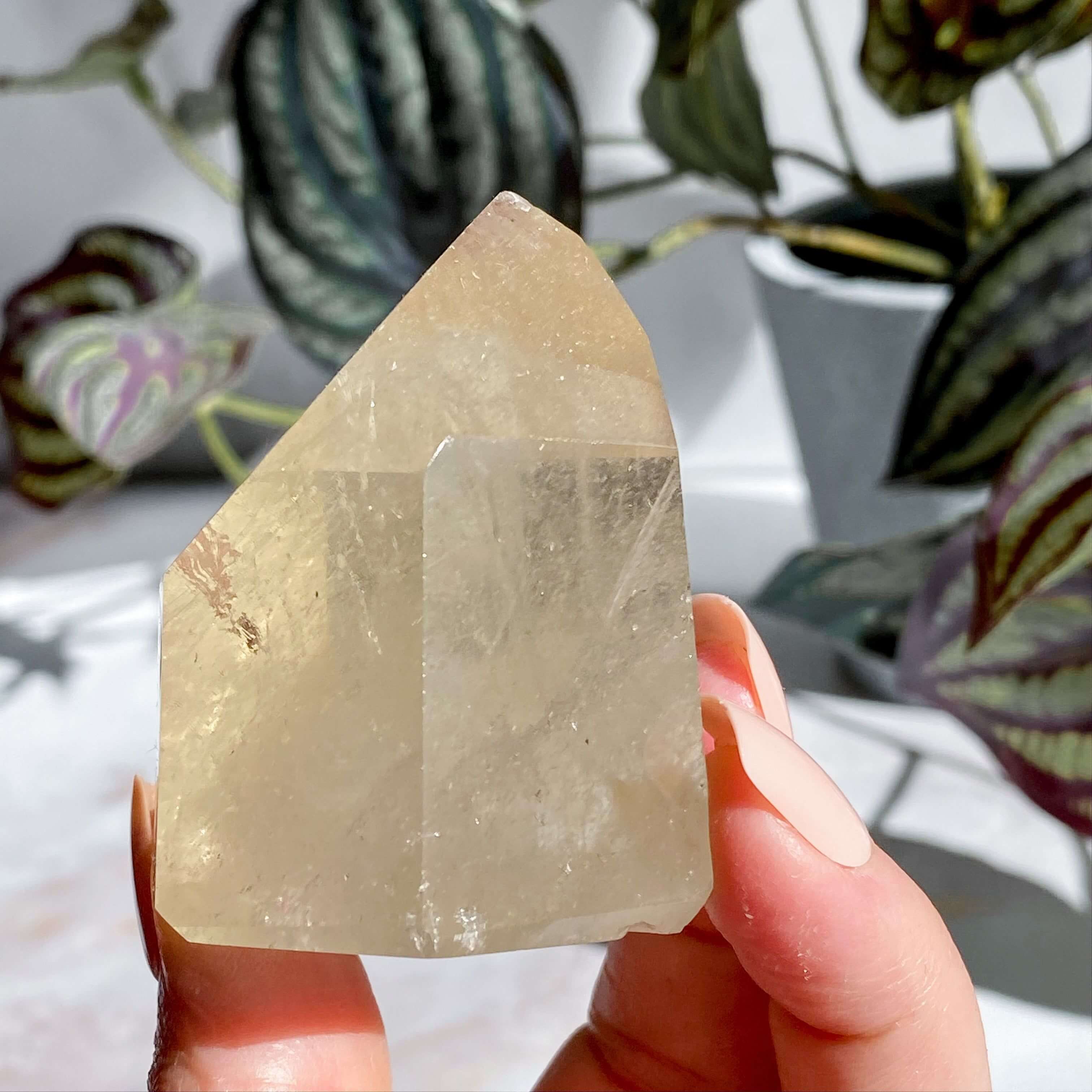 Natural UNTREATED Citrine Tower | Stock M Mooncat Crystals