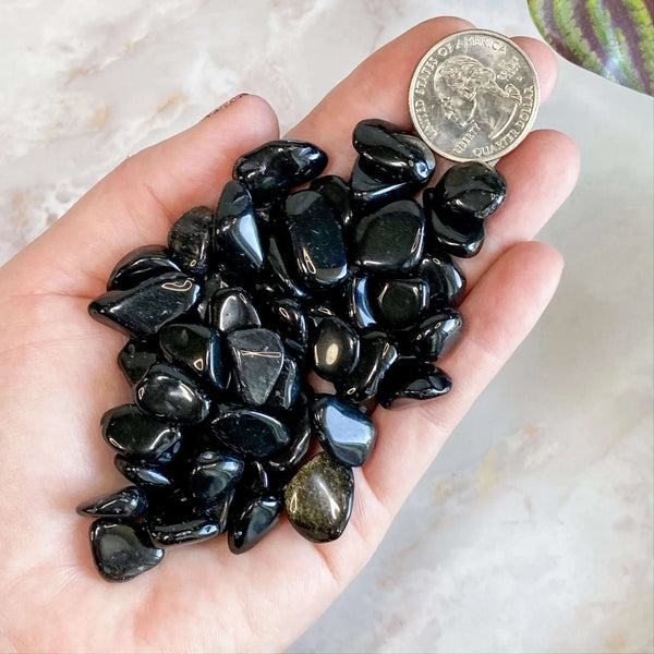 Obsidian Mini Tumbles | 100 Gram Lot Mooncat Crystals
