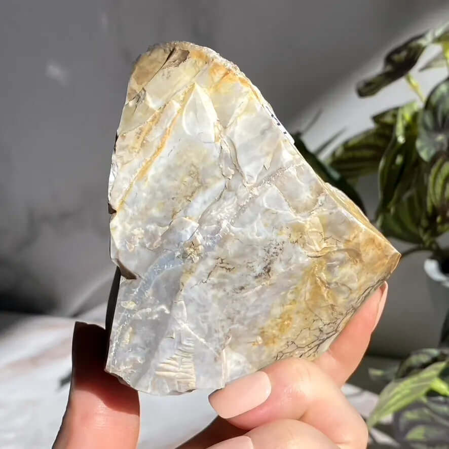 Ohio Flint | Stock L Mooncat Crystals