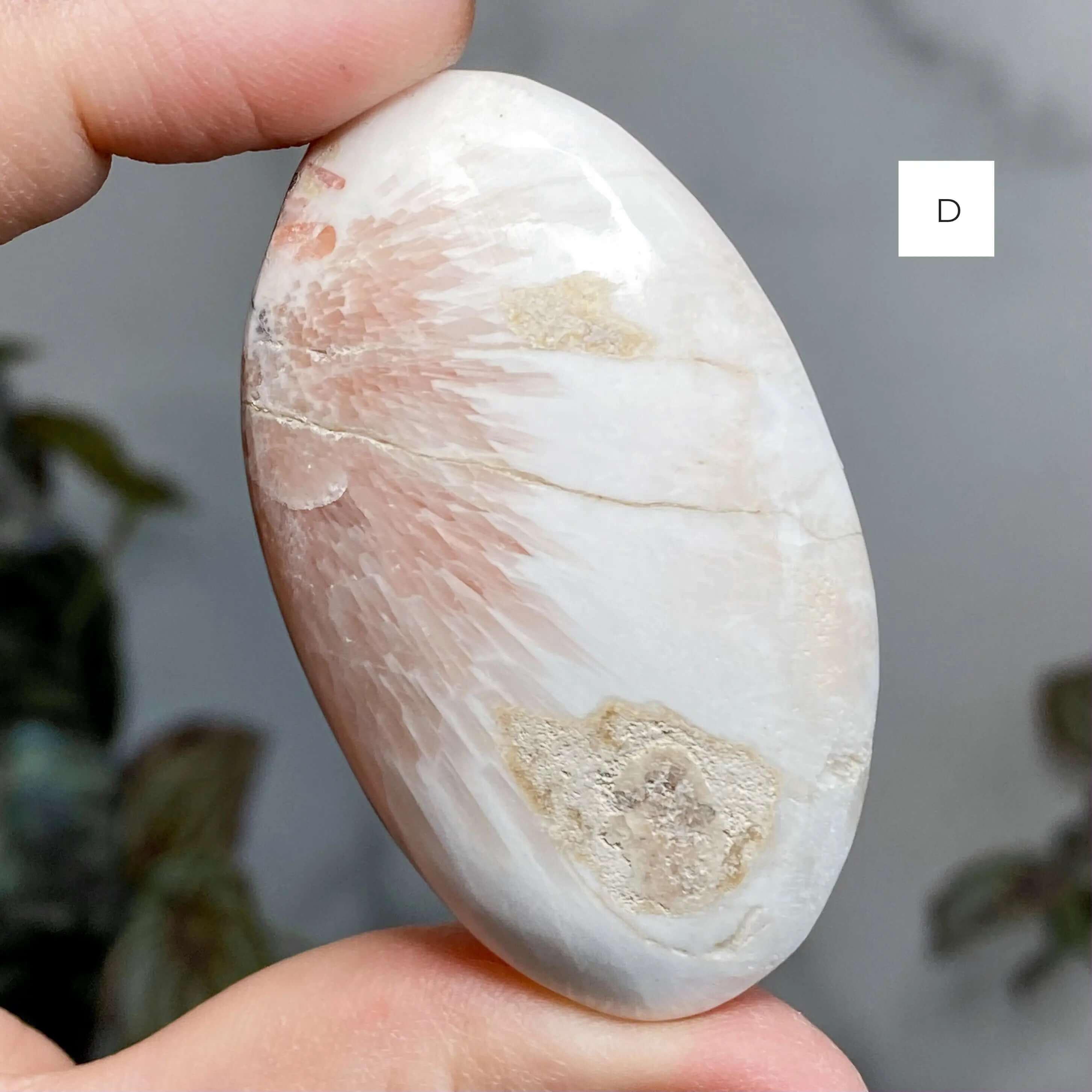 Peach Scolecite for Peace and Restoration | You Choose ABCD Mooncat Crystals