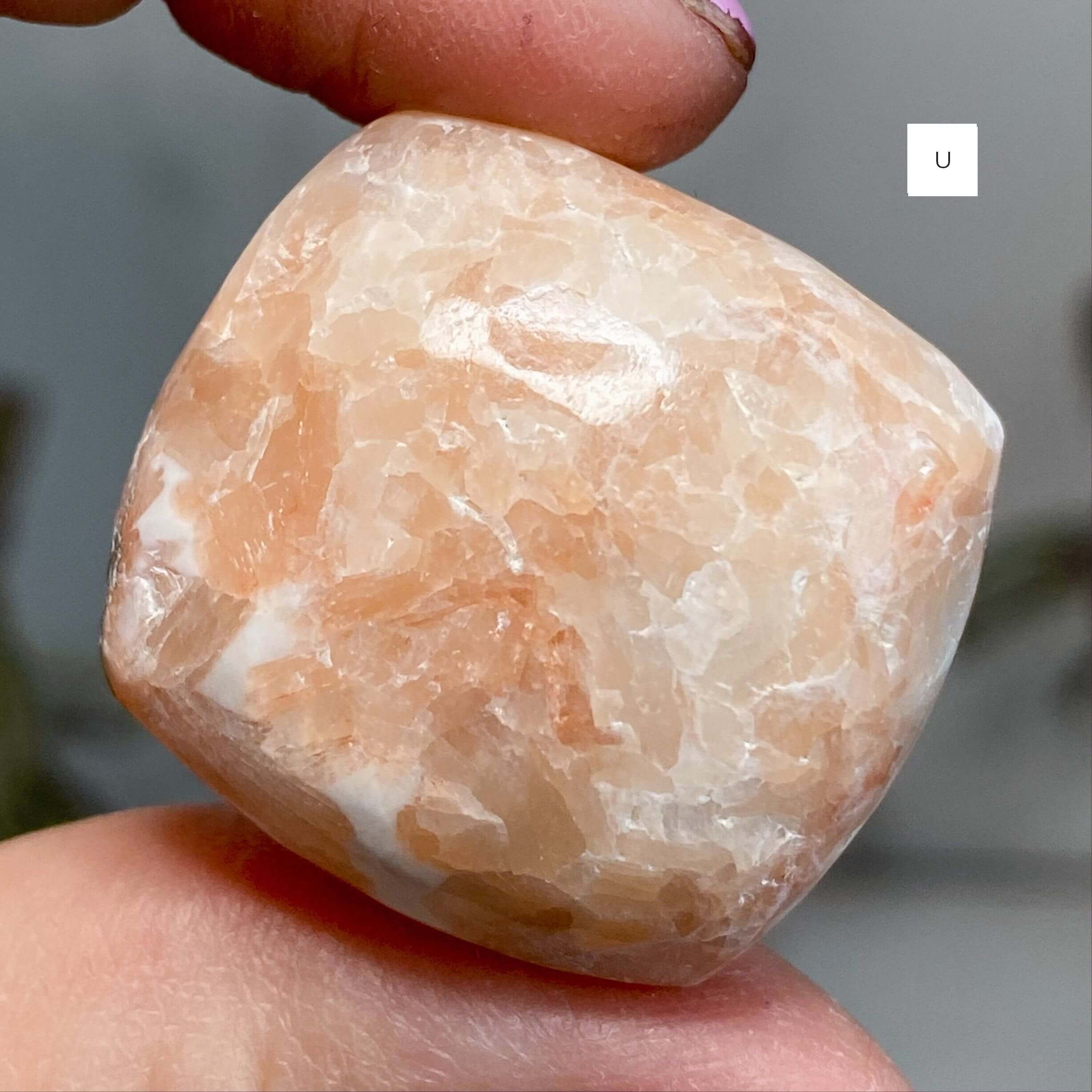 Peach Scolecite for Peace and Restoration | You Choose RSTUV Mooncat Crystals