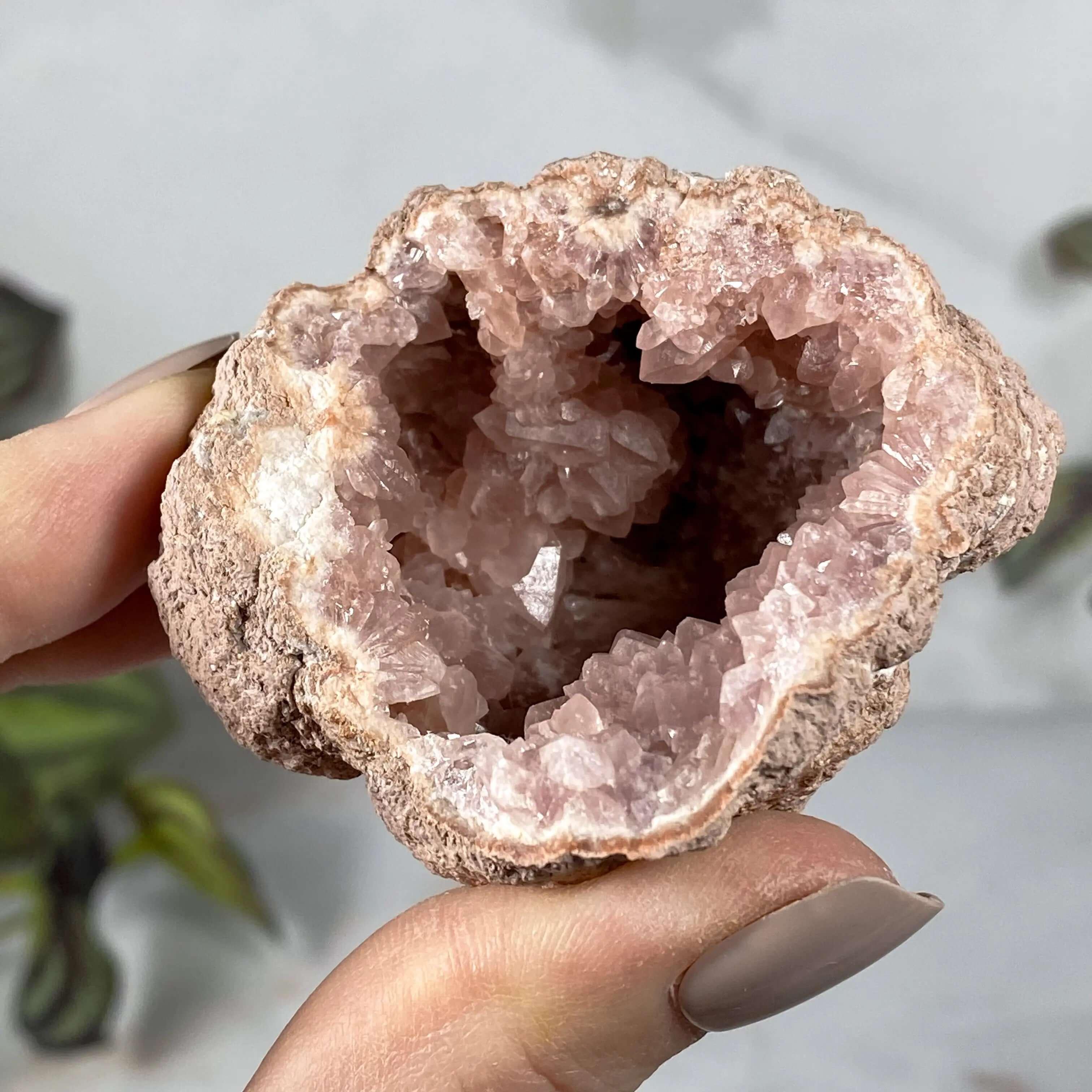 Welsh Geode Amethyst Crystal Geode