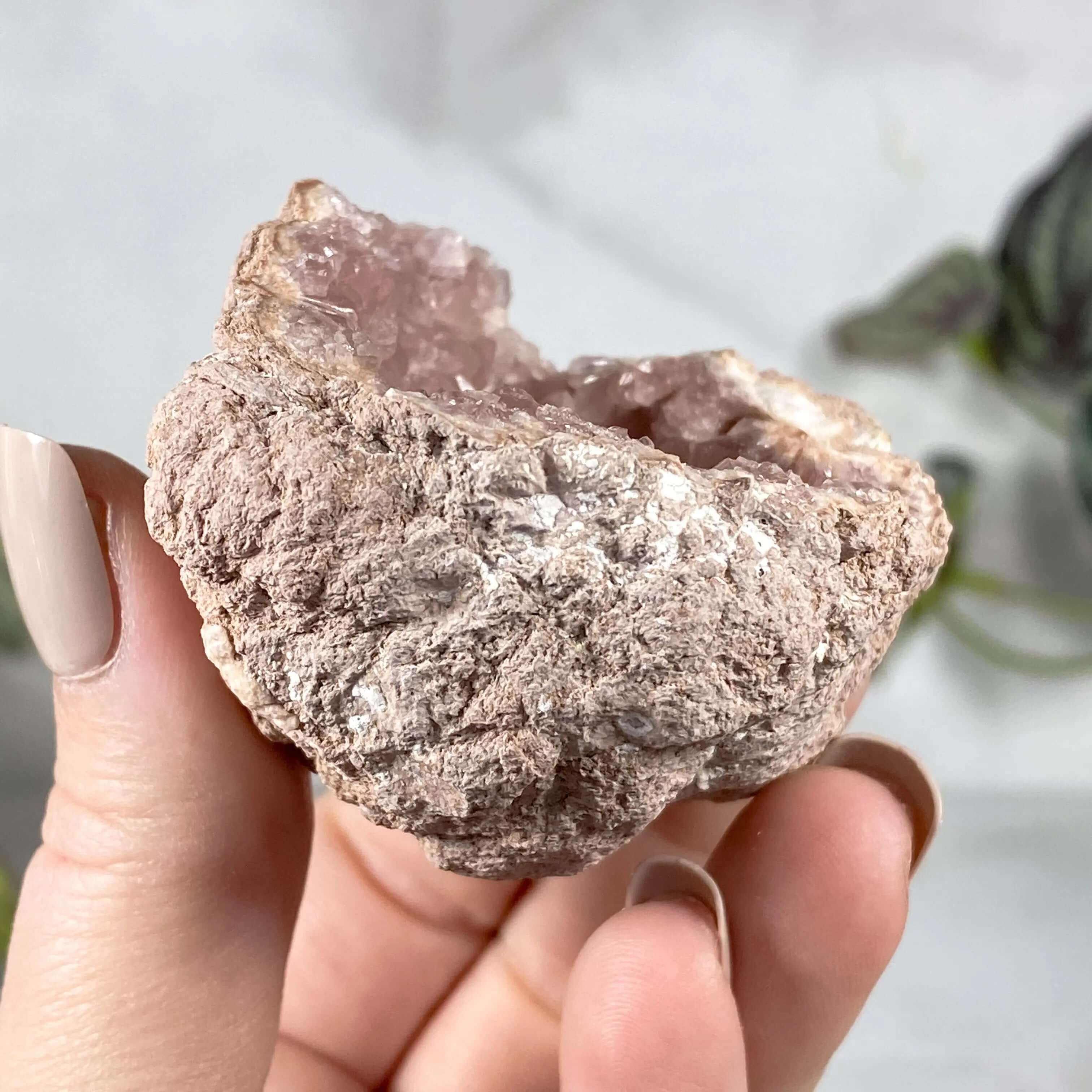 Pink Amethyst Geode | Stock L Mooncat Crystals