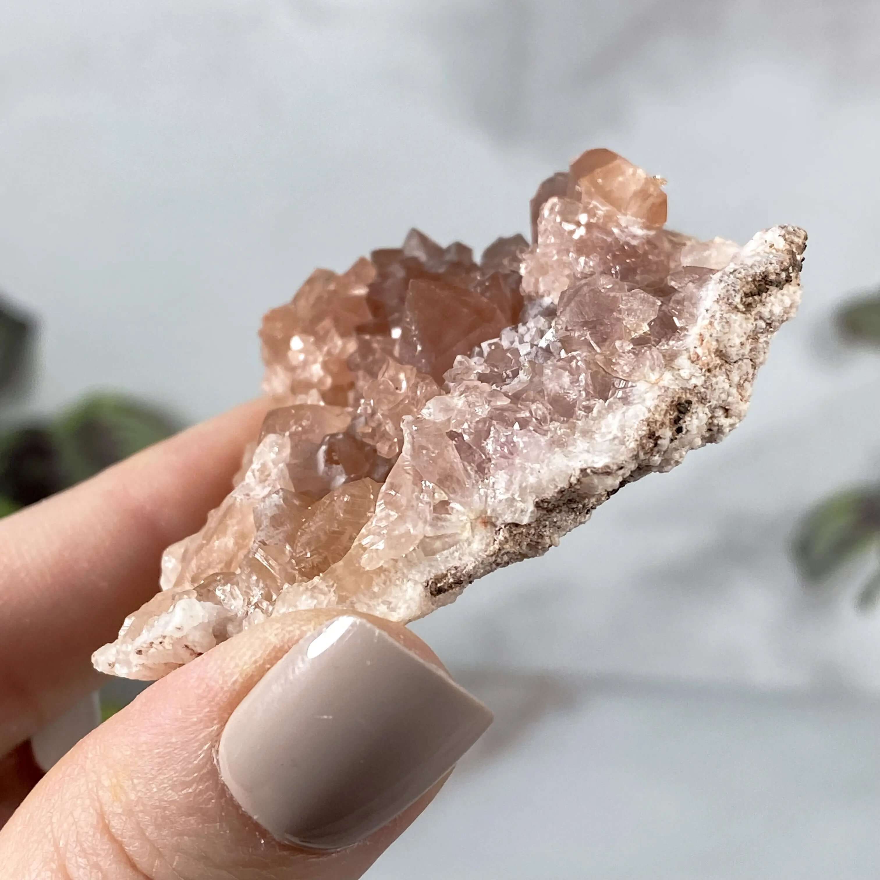 Pink Amethyst Geode | Stock M Mooncat Crystals