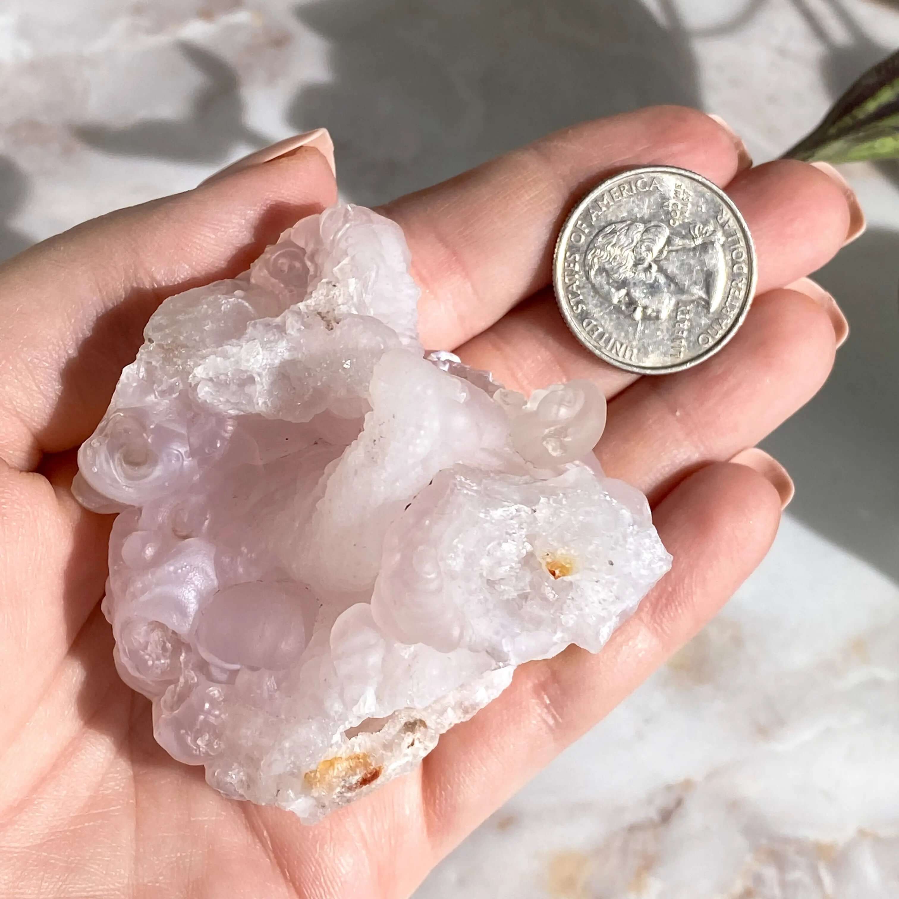 Pink Chalcedony Rose with Druzy Pocket | Stock D Mooncat Crystals