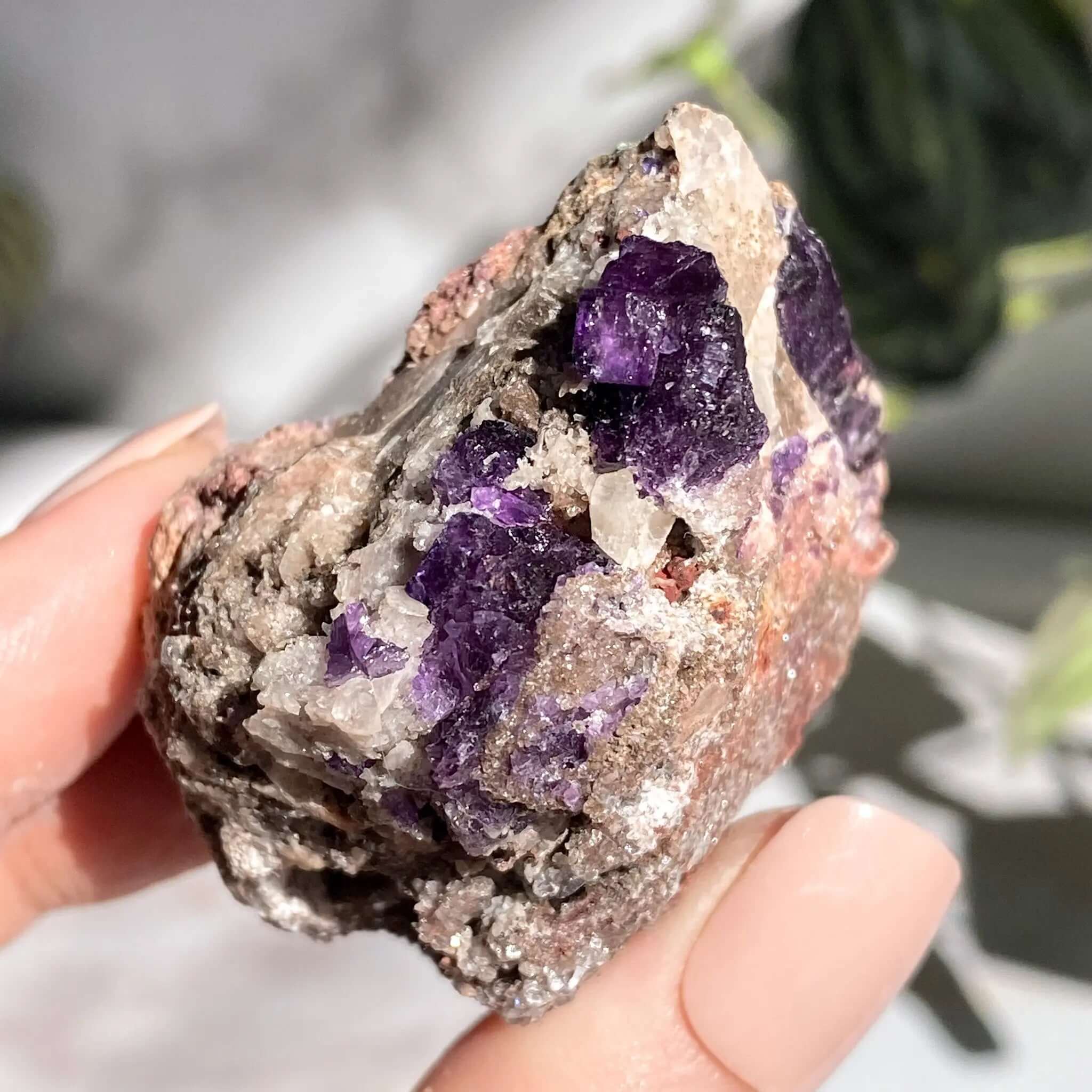 Purple Fluorite | Stock A Mooncat Crystals