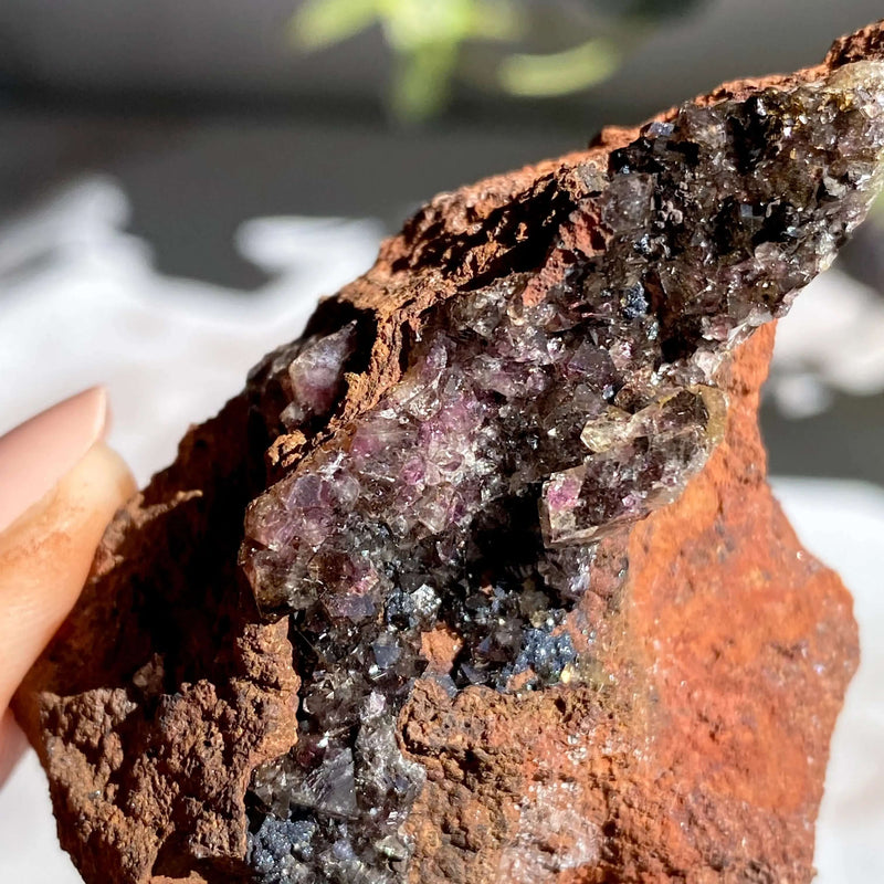 Rare Purple Adamite | Stock C Mooncat Crystals