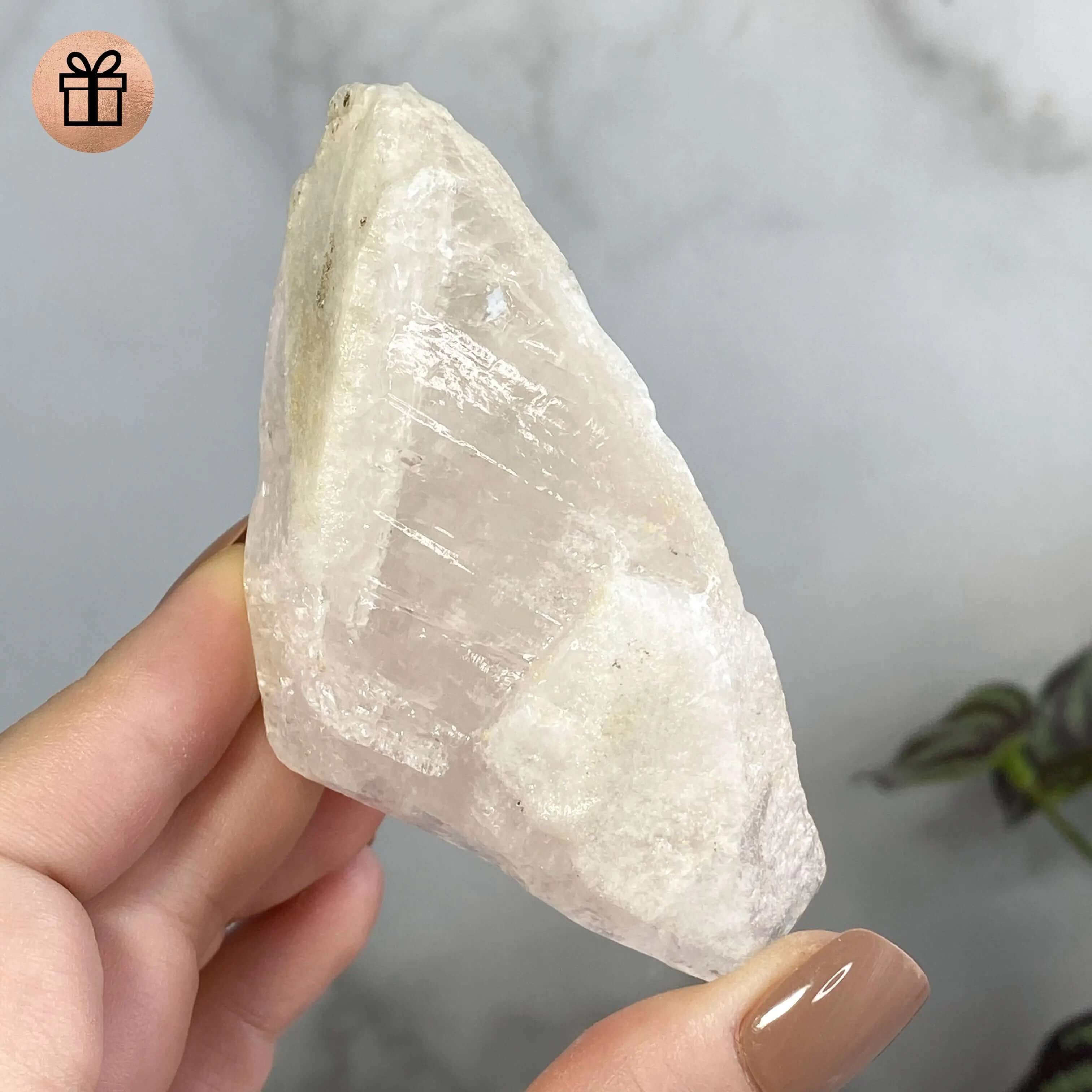 Rare UV-reactive Etched Calcite Point | Stock A Mooncat Crystals
