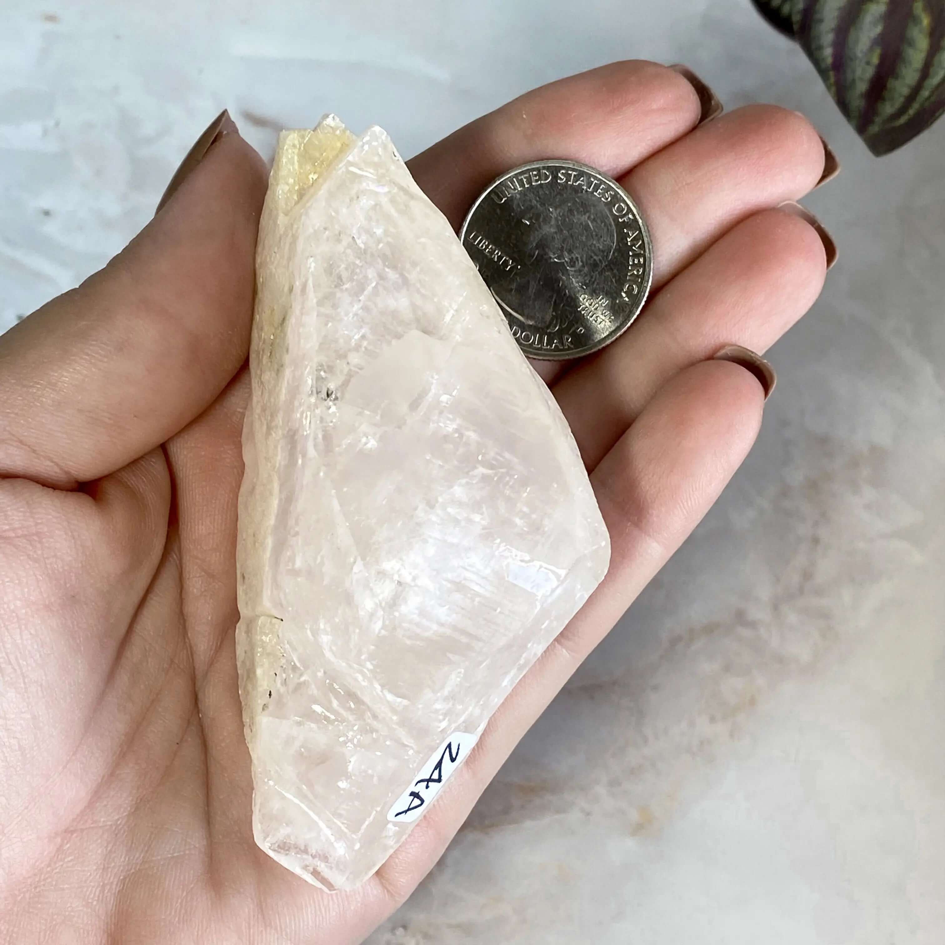 Rare UV-reactive Etched Calcite Point | Stock A Mooncat Crystals