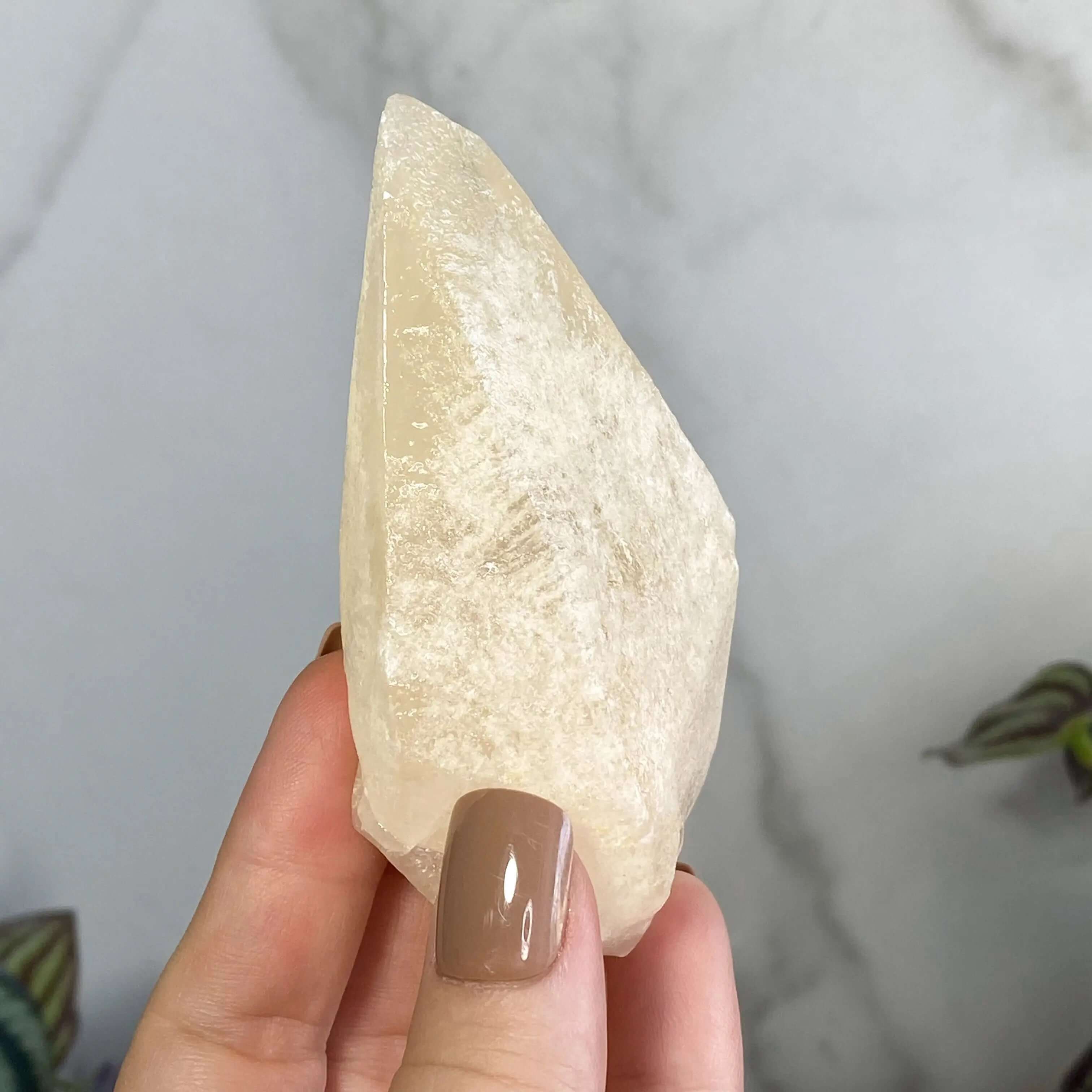 Rare UV-reactive Etched Calcite Point | Stock C Mooncat Crystals