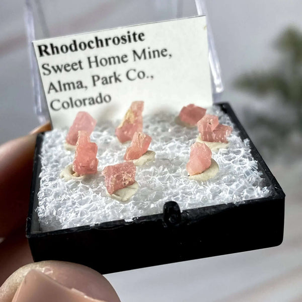 Rhodonite Thumbnails | Sweet Home Mine Mooncat Crystals