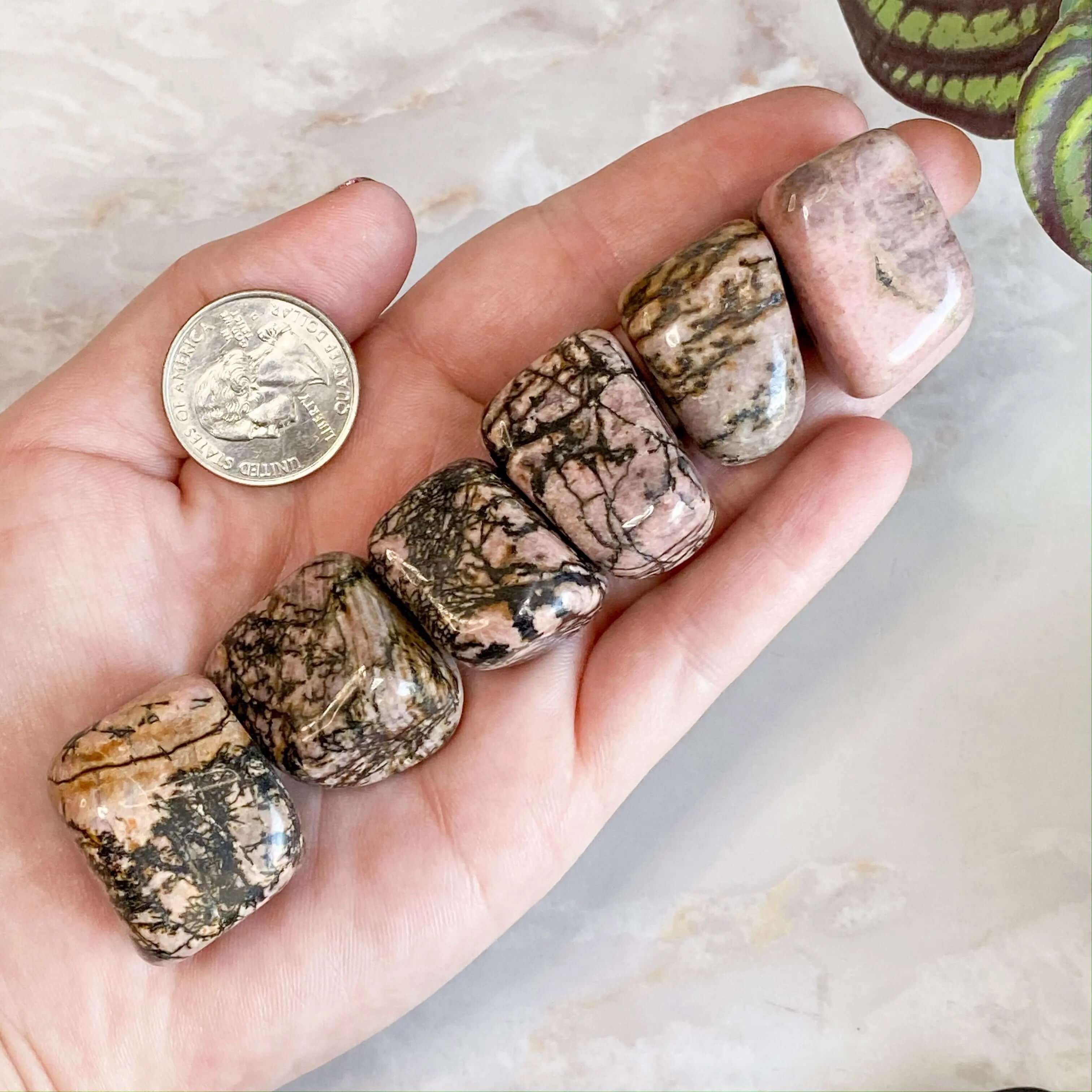 Rhodonite Tumbles | Set of 2 Mooncat Crystals