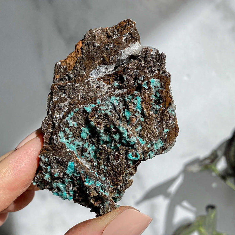 Rosasite | Stock Y Mooncat Crystals