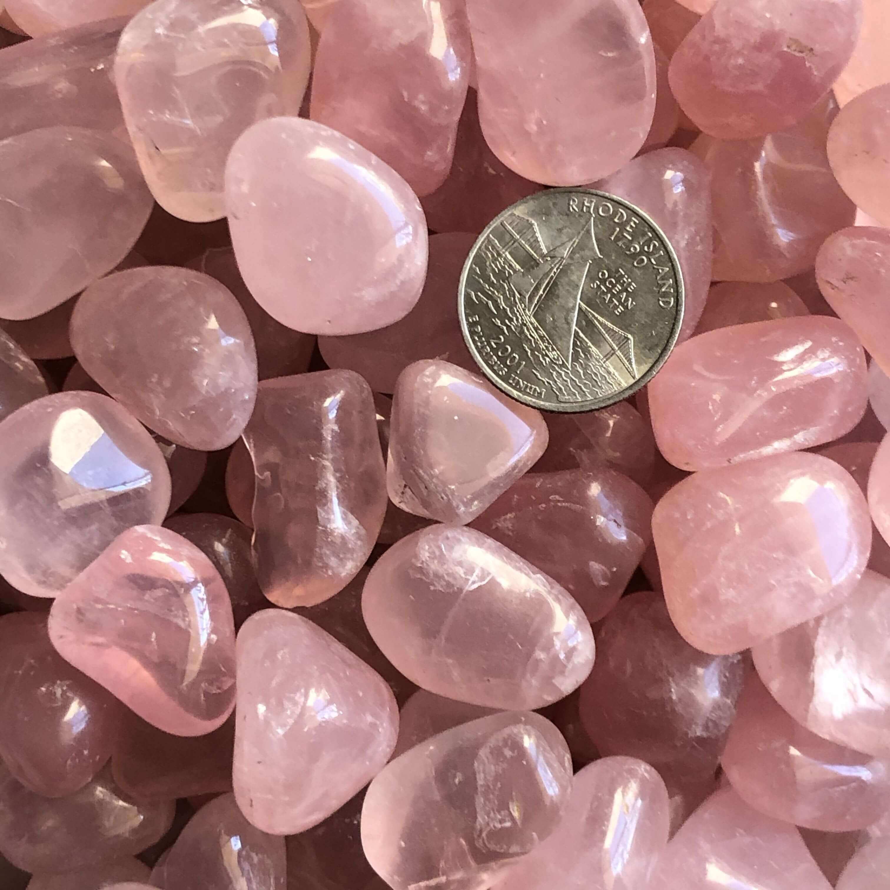 Rose Quartz Tumbles for Unconditional Love - Medium | Lot of 4 Mooncat Crystals