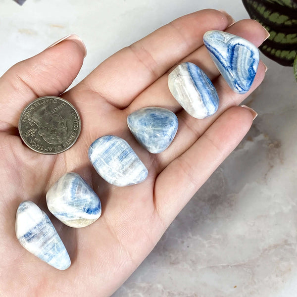 Scheelite (Lapis Lace Onyx) Small Tumbles | Set of 2 Mooncat Crystals