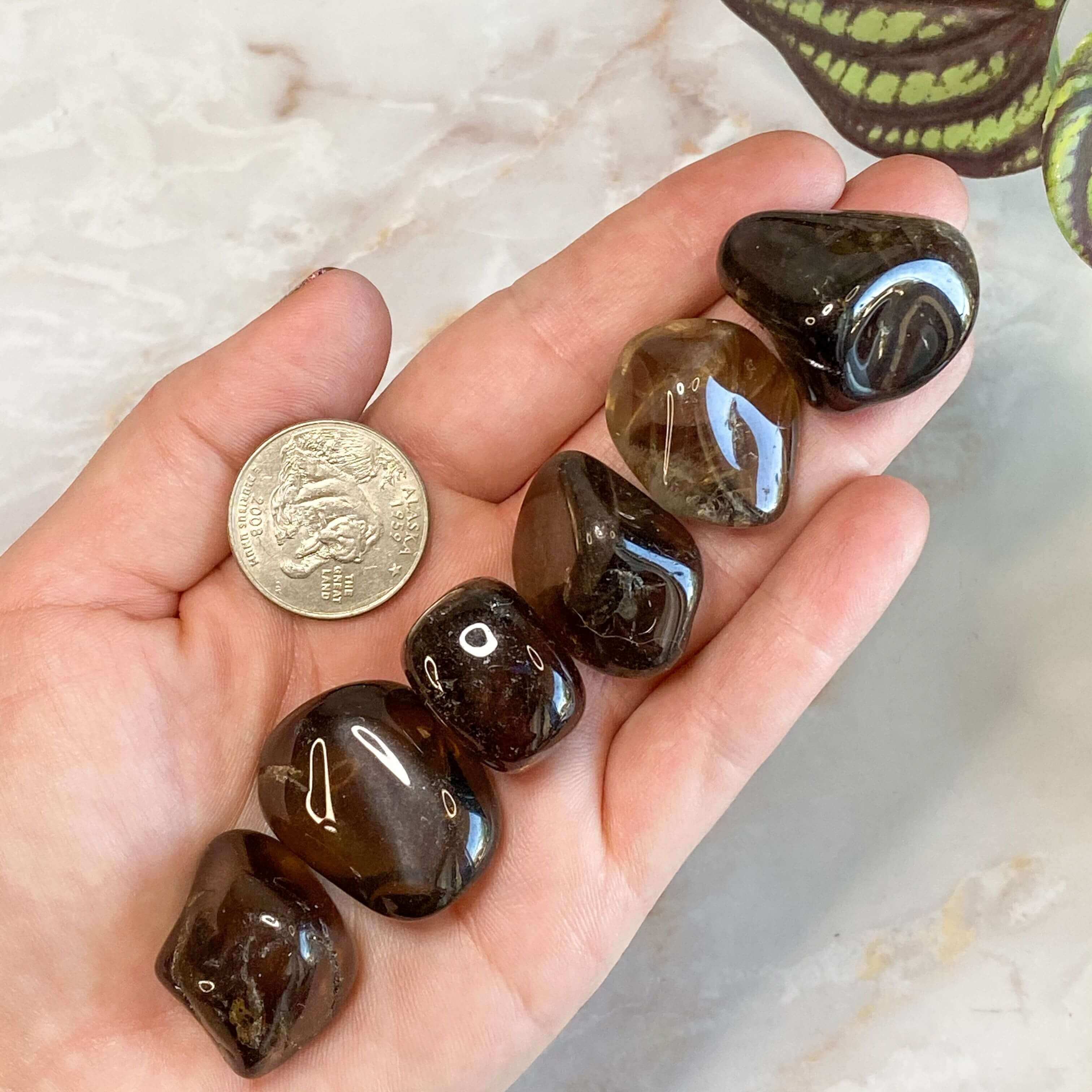 Smoky Quartz Tumbles for Neutralizing Negativity | Medium - Set of 2 Mooncat Crystals