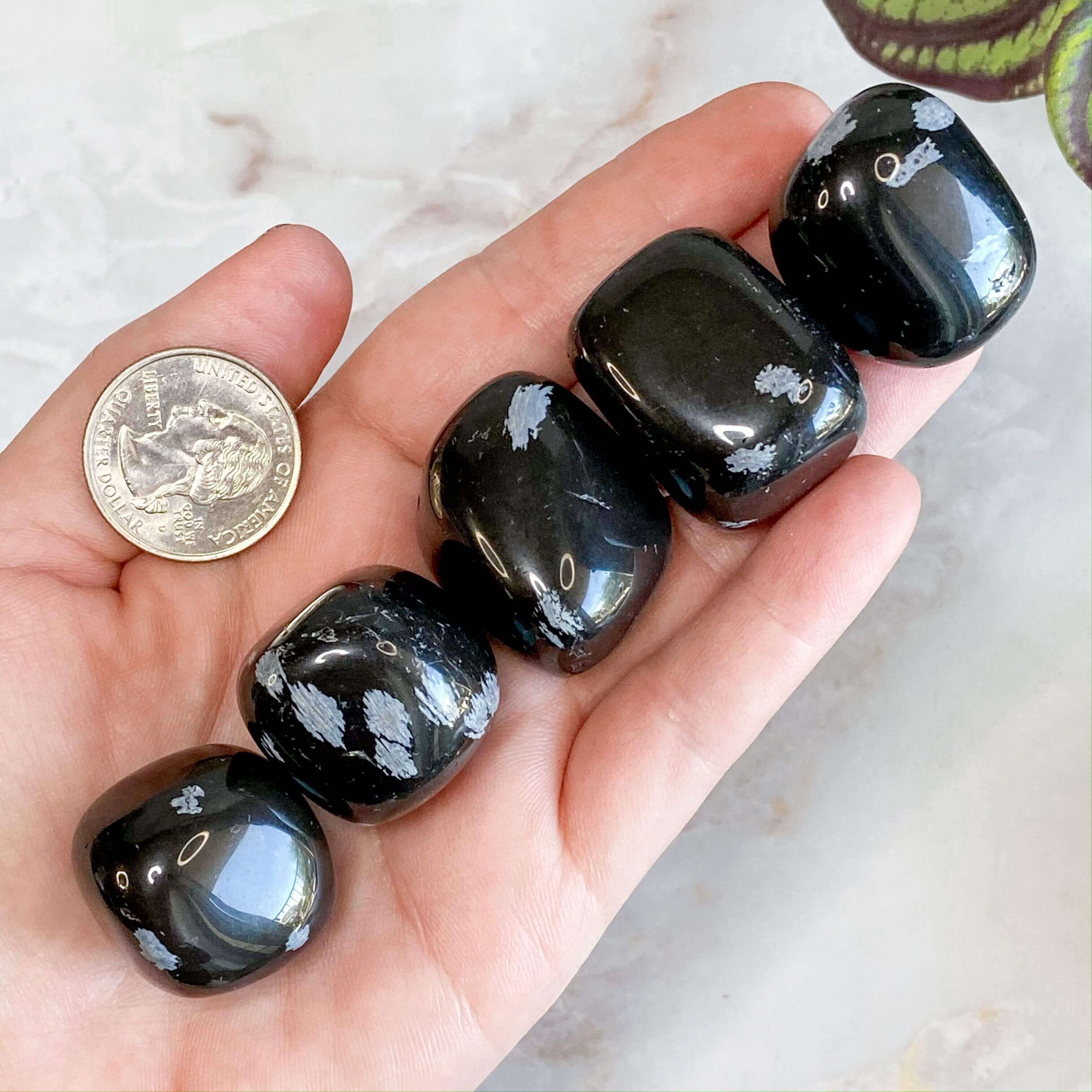 Snowflake Obsidian Heart for Balance and Transformation | You Choose GHI Mooncat Crystals