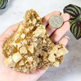 South Dakota Calcite | Stock C Mooncat Crystals
