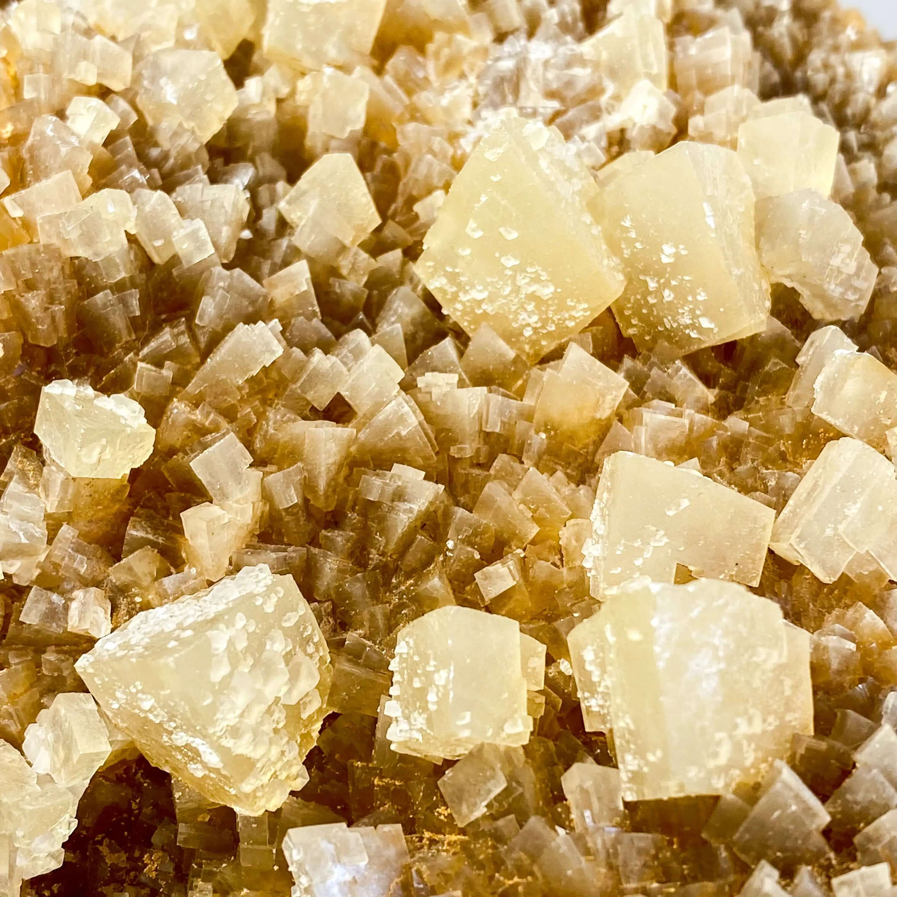 South Dakota Calcite for Grounding and Clarity | Stock B Mooncat Crystals