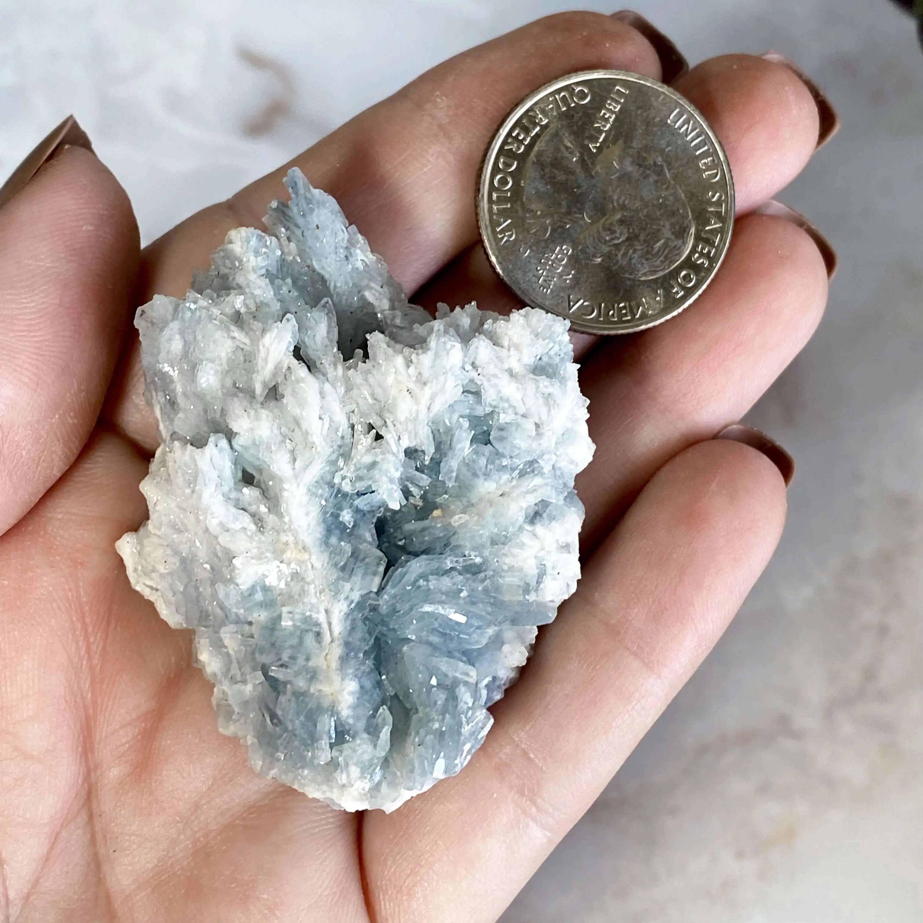 Spanish Blue Barite Mooncat Crystals
