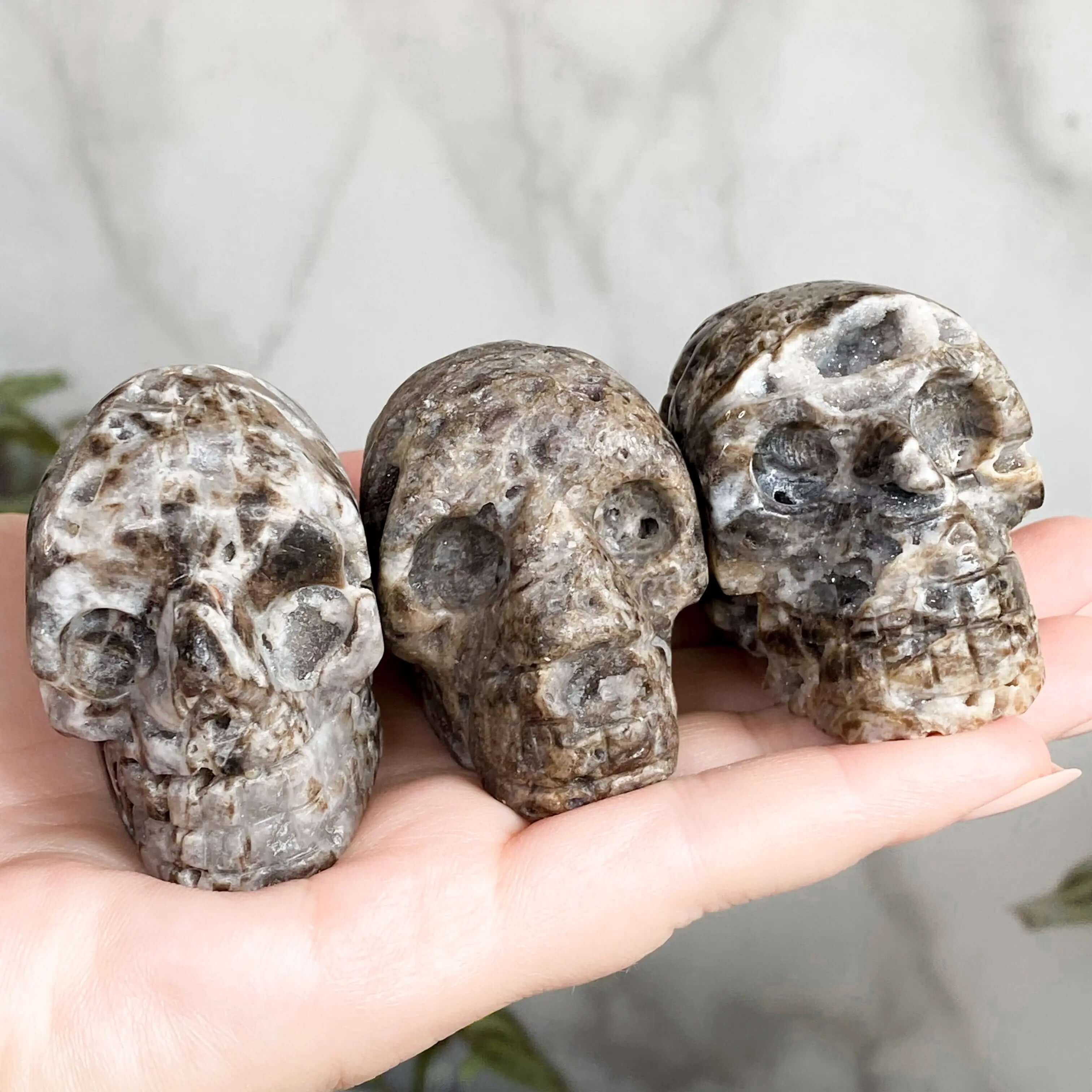 Sparkly Druzy Agate Skull | You Choose GHIJK Mooncat Crystals