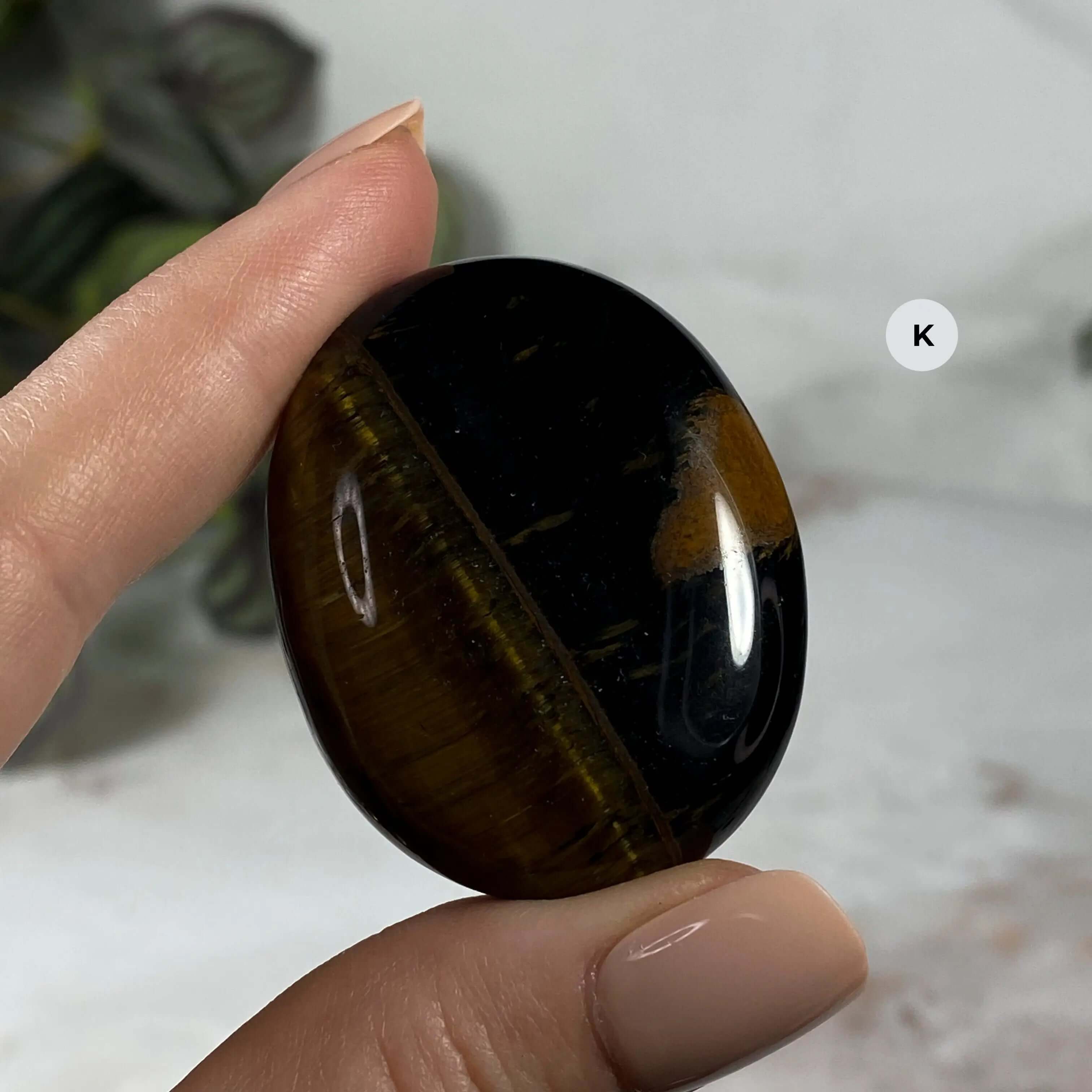 Tiger's Eye Palm Stone | You Choose IJKL Mooncat Crystals