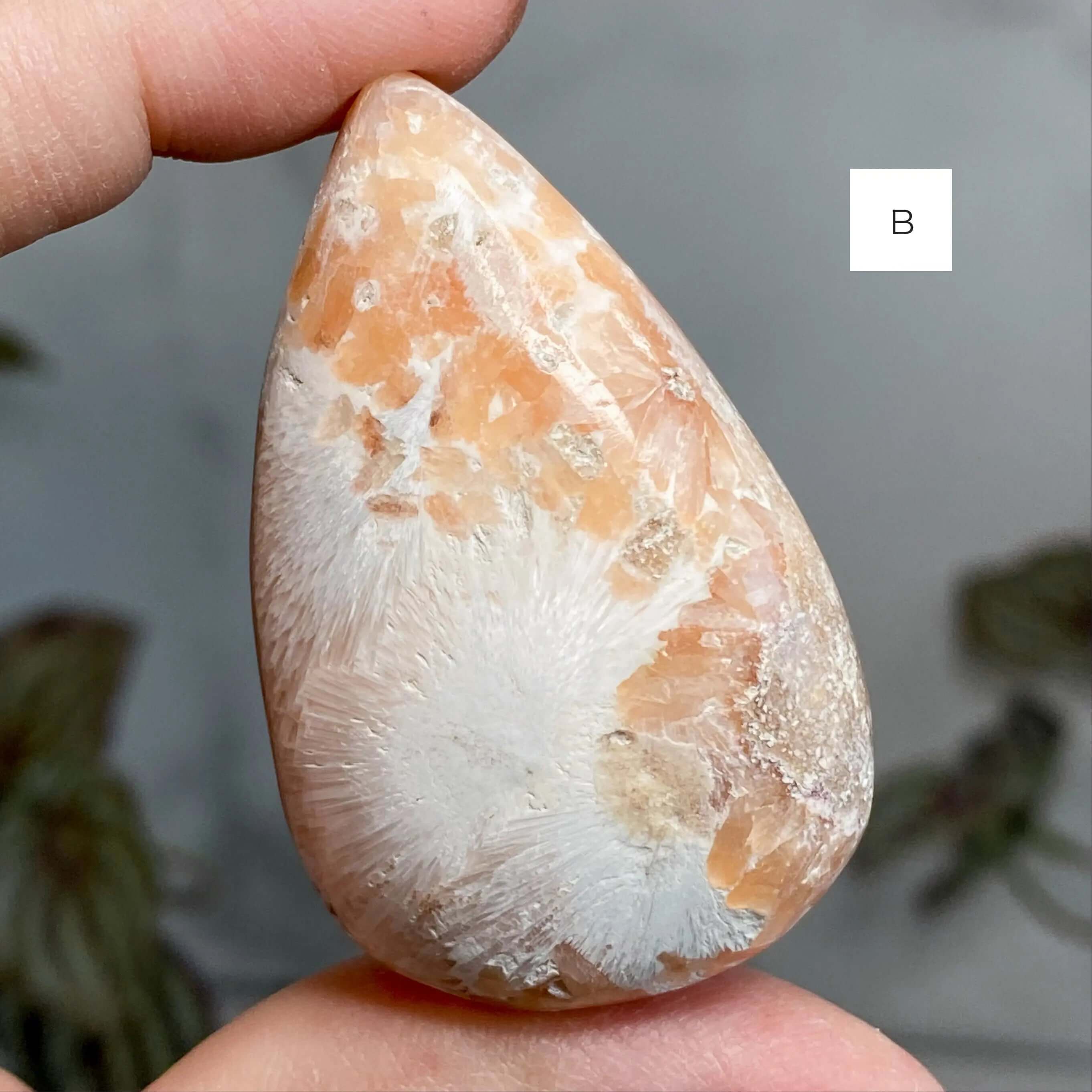 Top Quality Peach (Orange) Scolecite Palm Stones | You Choose ABCD Mooncat Crystals