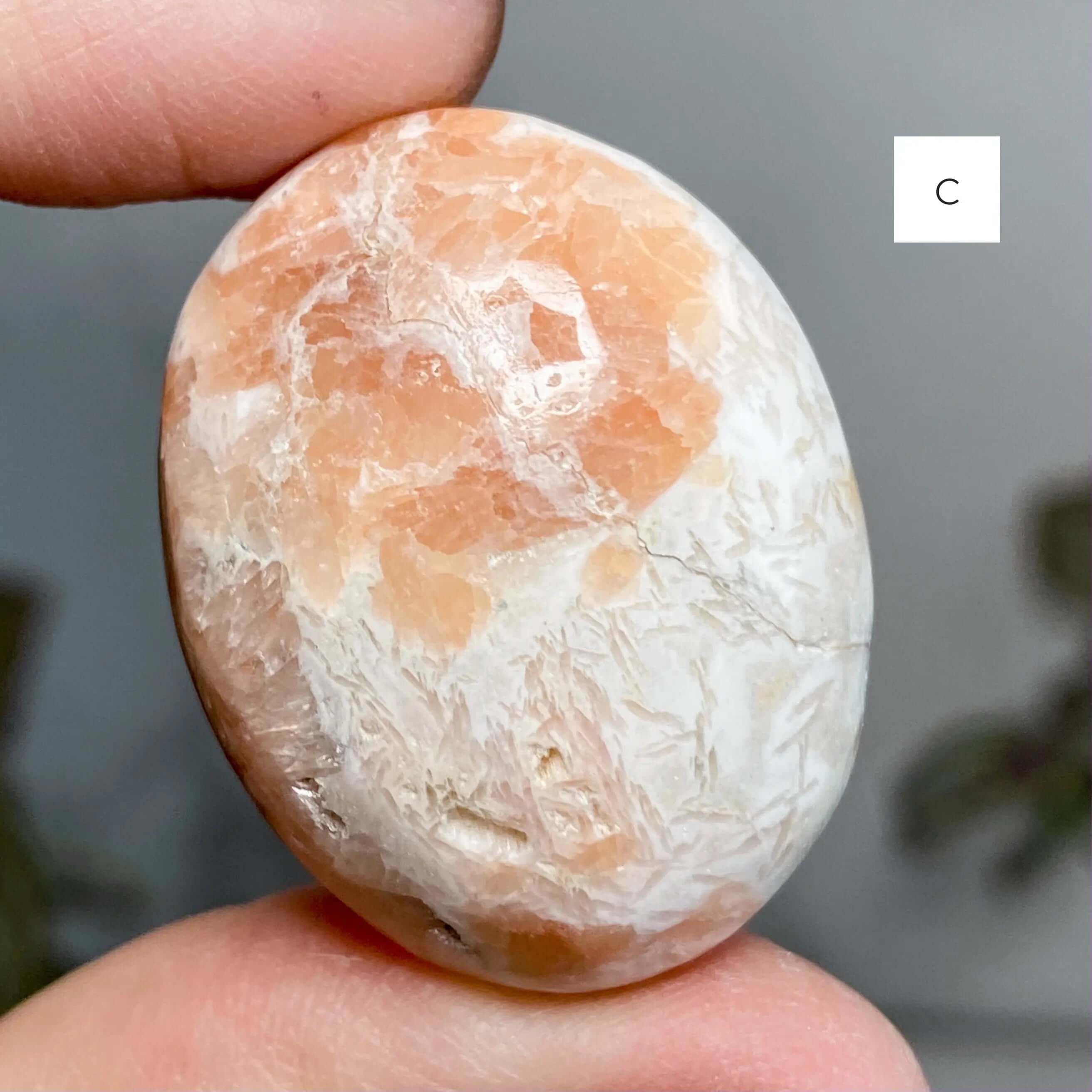Top Quality Peach (Orange) Scolecite Palm Stones | You Choose ABCD Mooncat Crystals