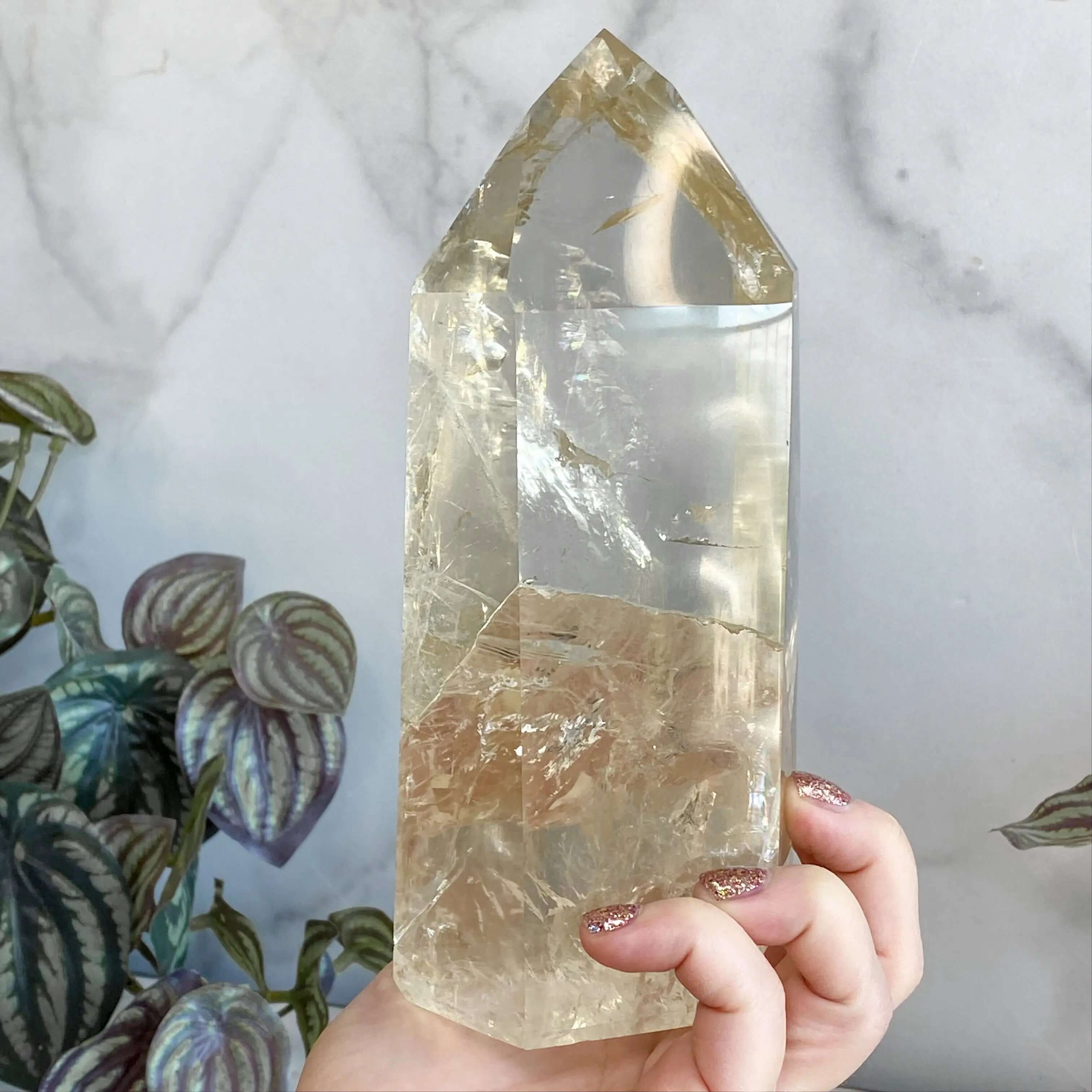 XL Natural Rainbow-Filled Citrine Tower Mooncat Crystals
