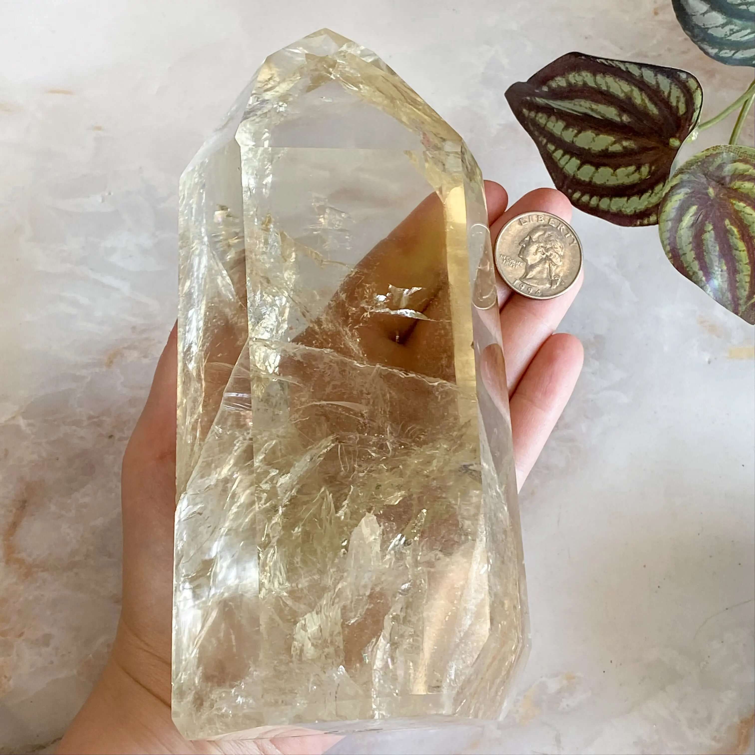 XL Natural Rainbow-Filled Citrine Tower for Wealth and Success Mooncat Crystals