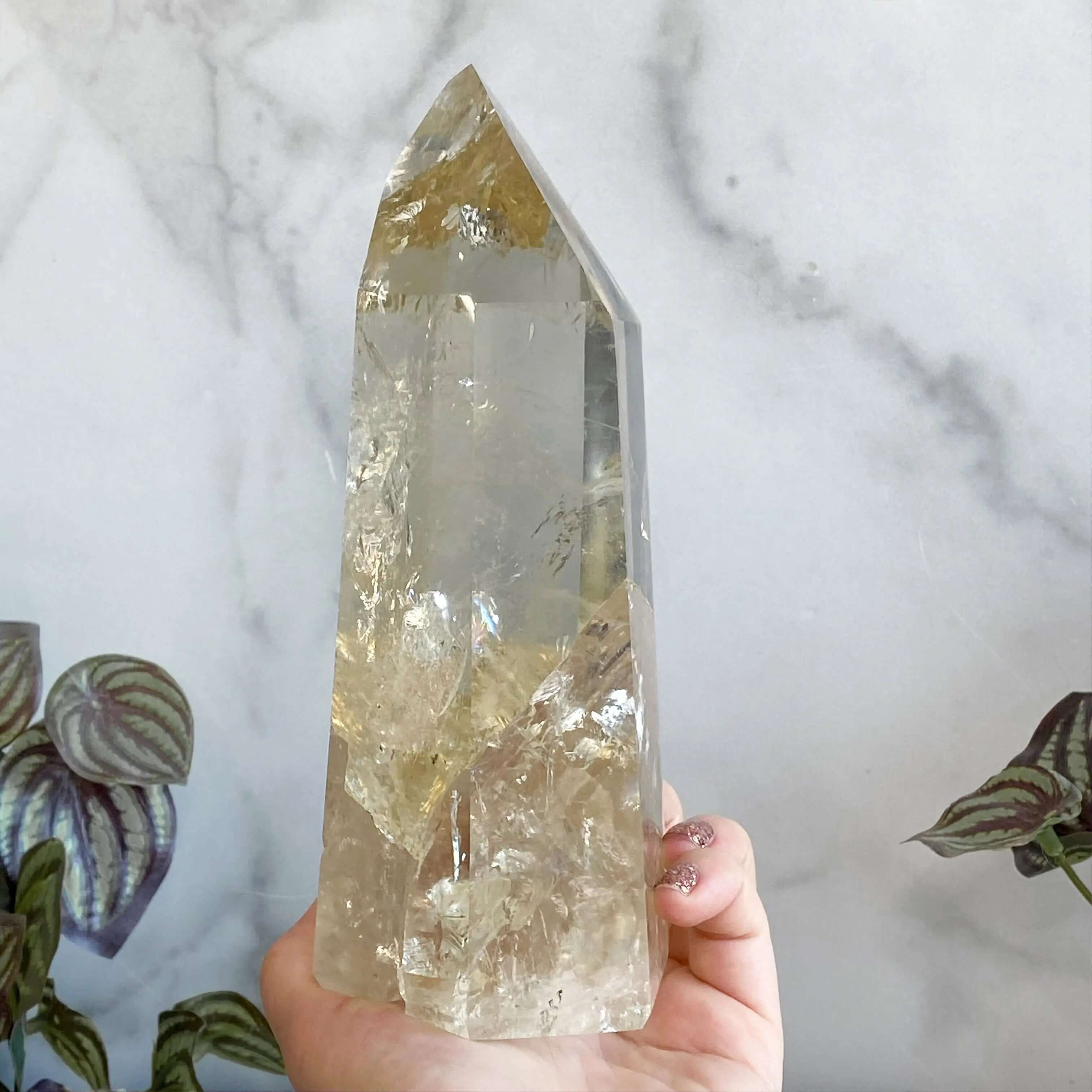 XL Natural Rainbow-Filled Citrine Tower for Wealth and Success Mooncat Crystals