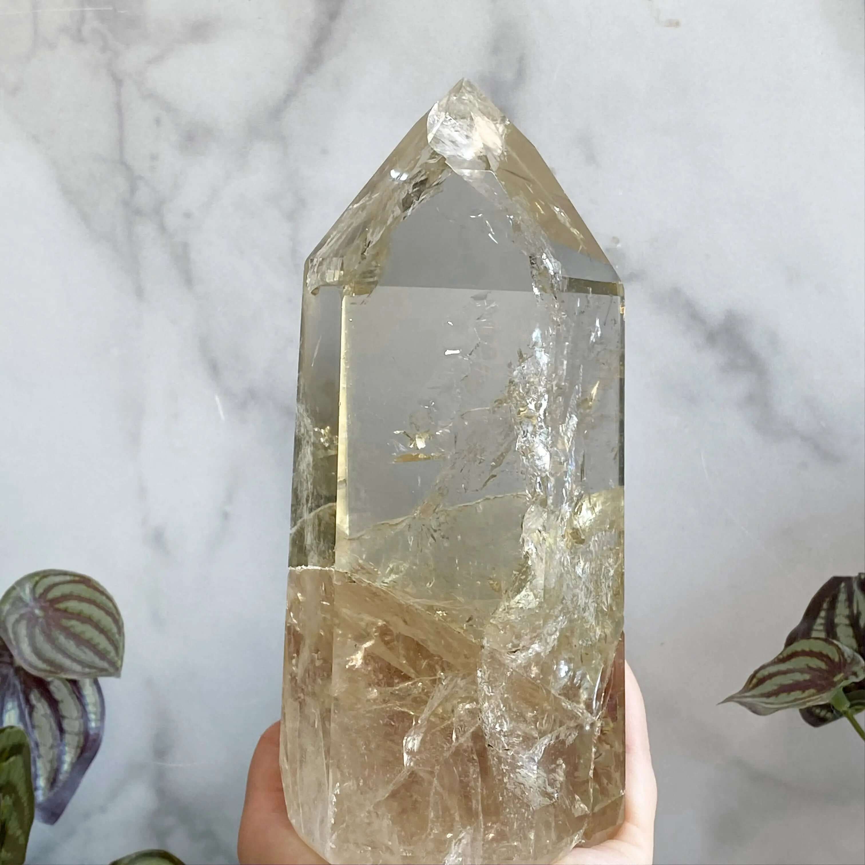 XL Natural Rainbow-Filled Citrine Tower for Wealth and Success Mooncat Crystals