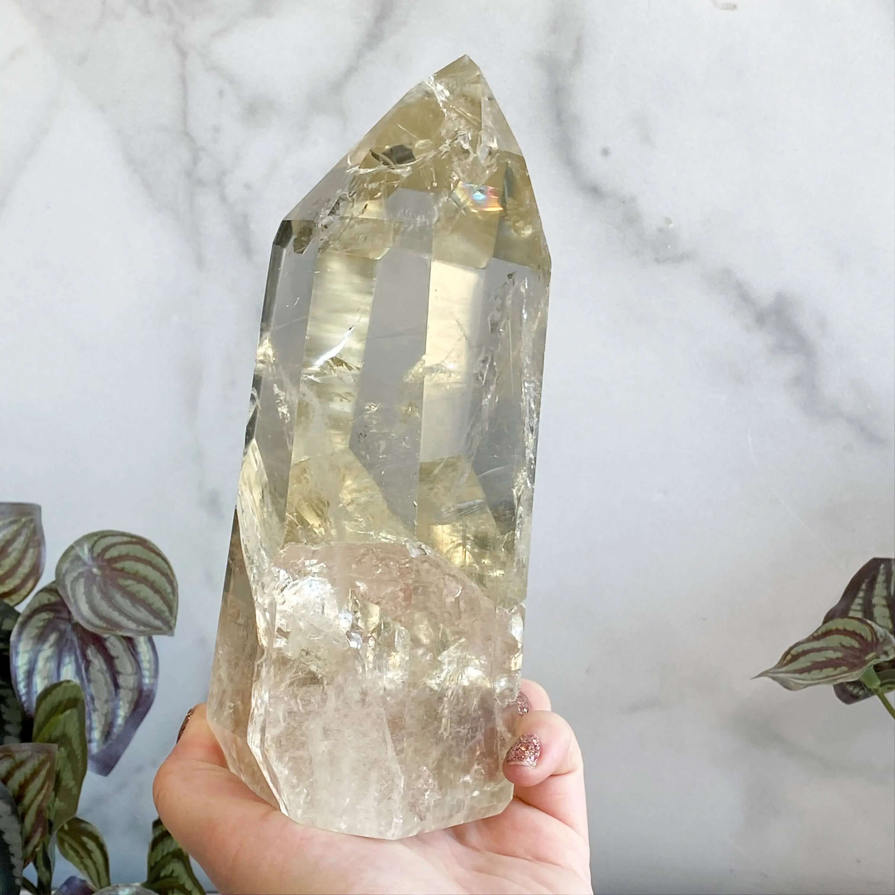 XL Natural Rainbow-Filled Citrine Tower for Wealth and Success Mooncat Crystals