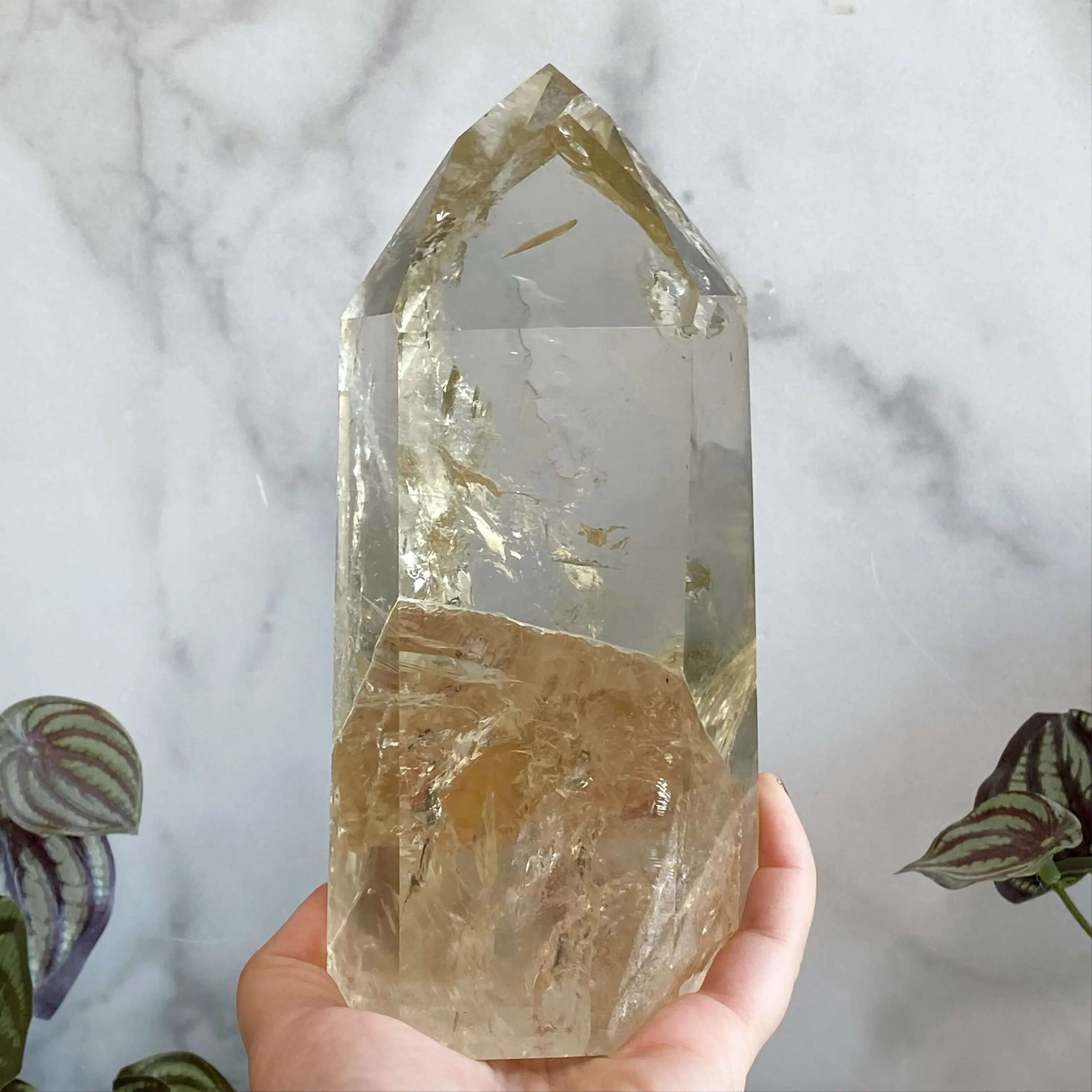 XL Natural Rainbow-Filled Citrine Tower for Wealth and Success Mooncat Crystals