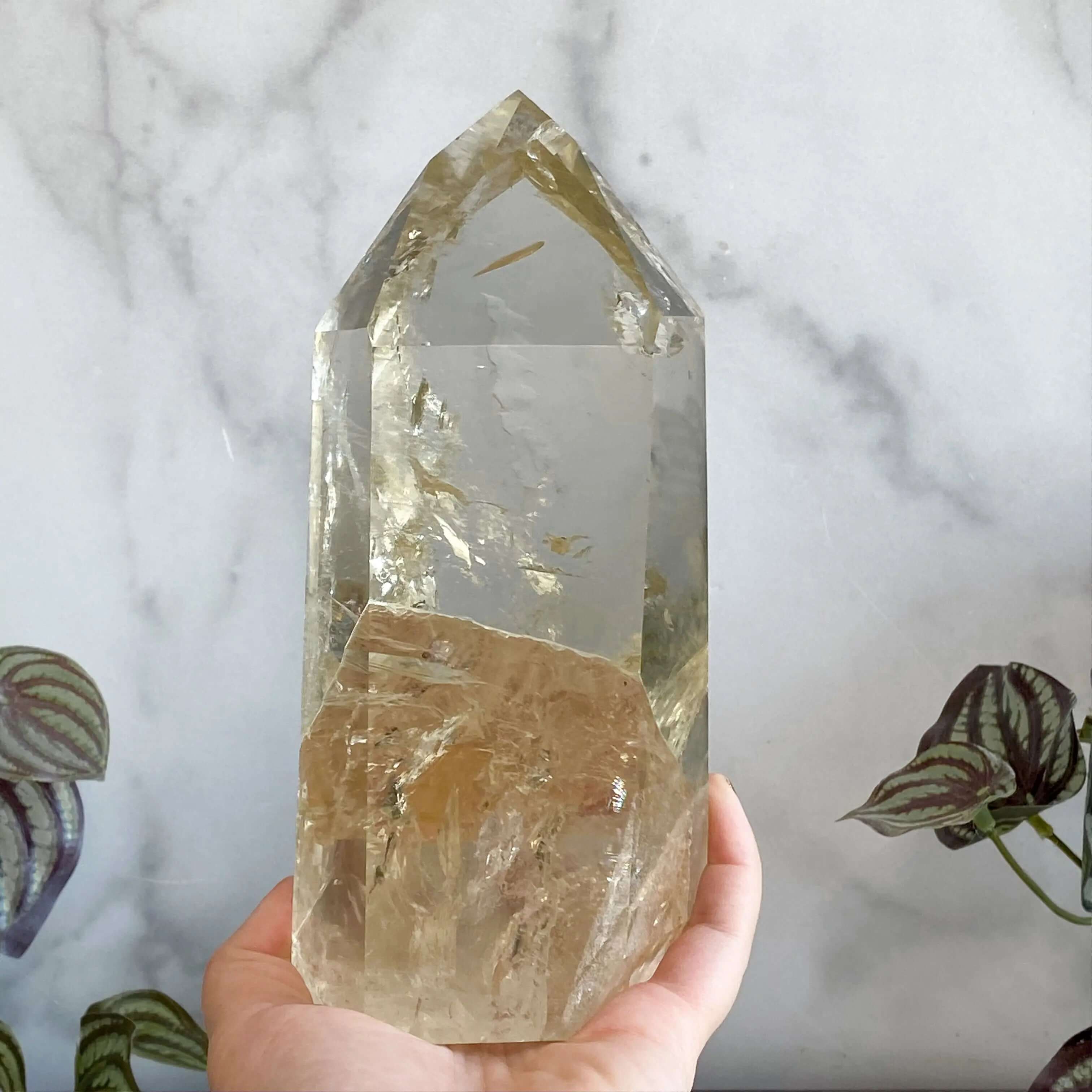 XL Natural Rainbow-Filled Citrine Tower for Wealth and Success Mooncat Crystals