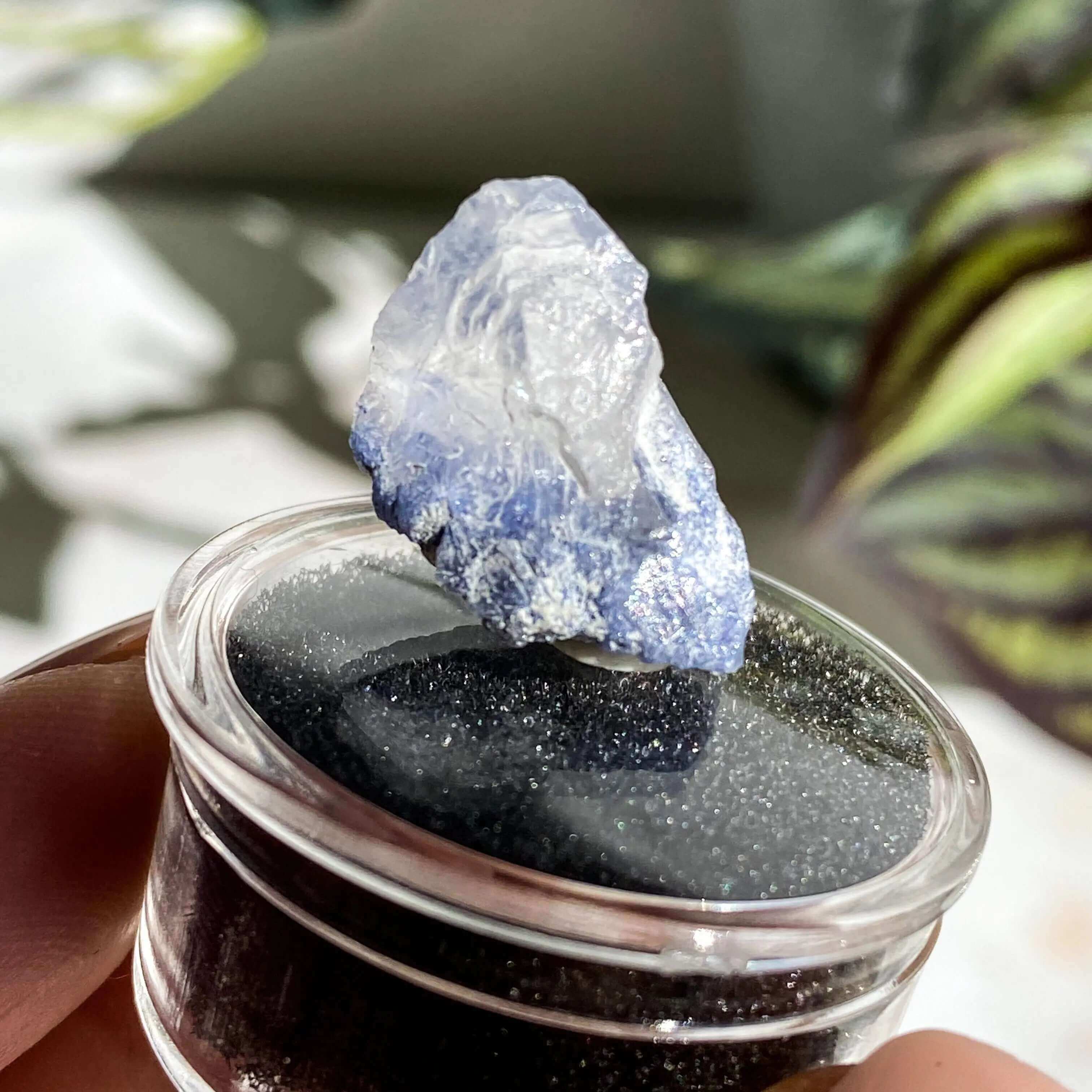 Dumortierite in Quartz | Stock K - Mooncat Crystals
