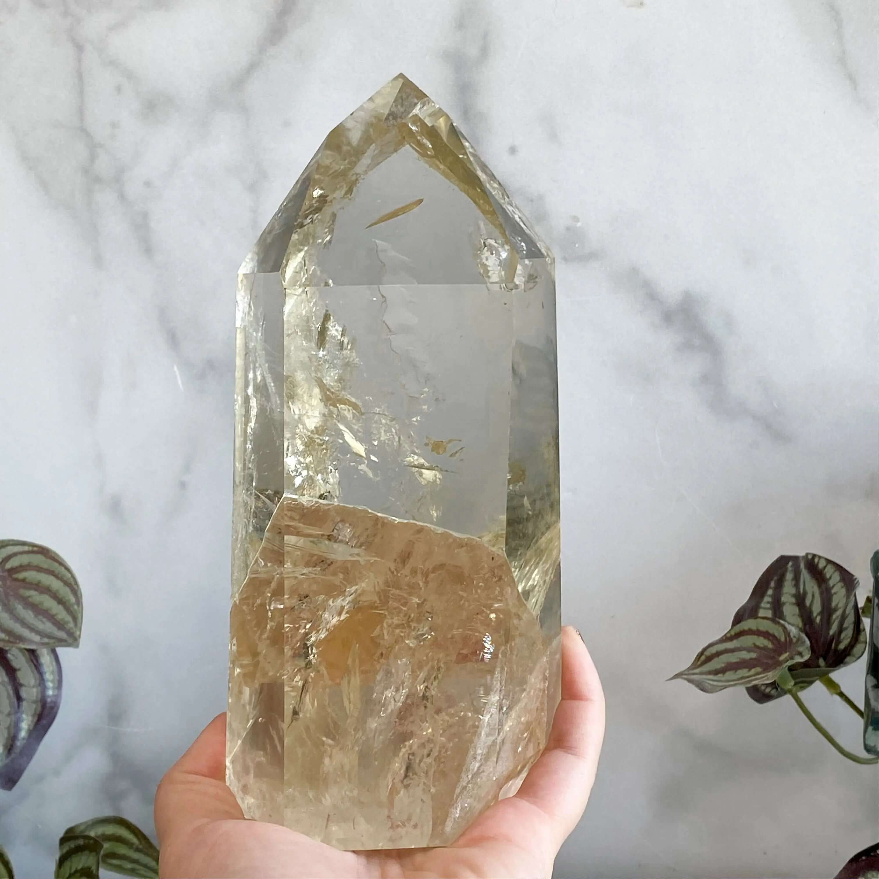 XL Natural Rainbow-Filled Citrine Tower - Mooncat Crystals